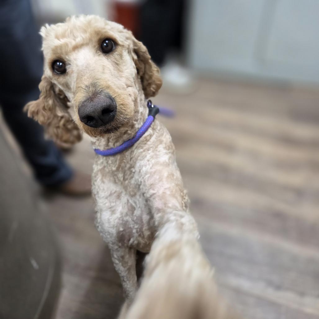 Live Free thumbnail 2