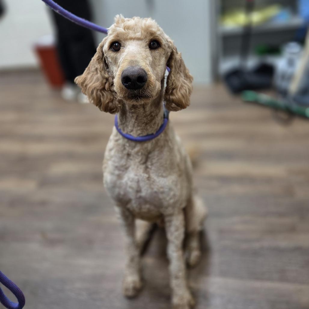 Live Free thumbnail 3