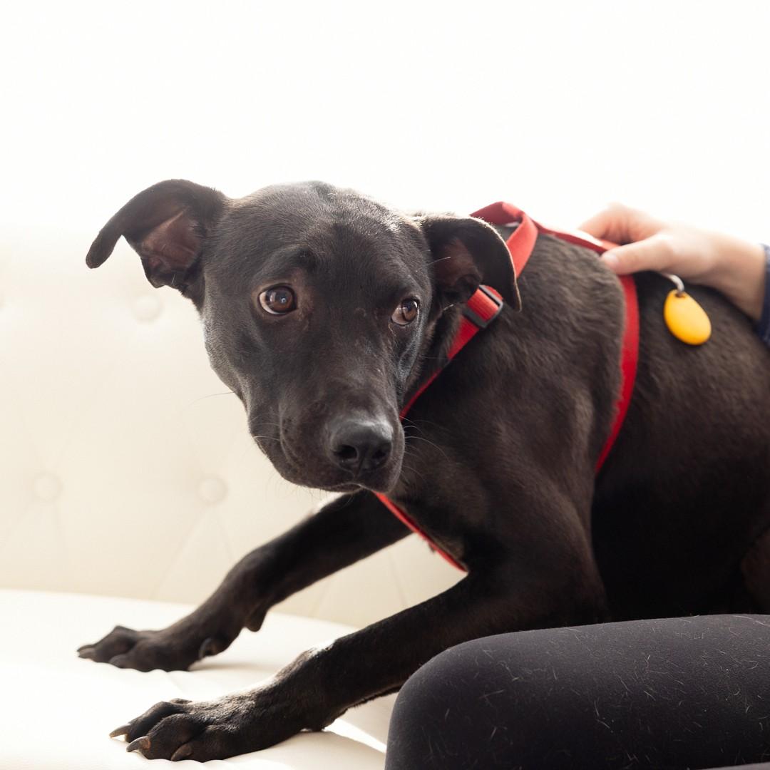 Five Points — thumbnail 3