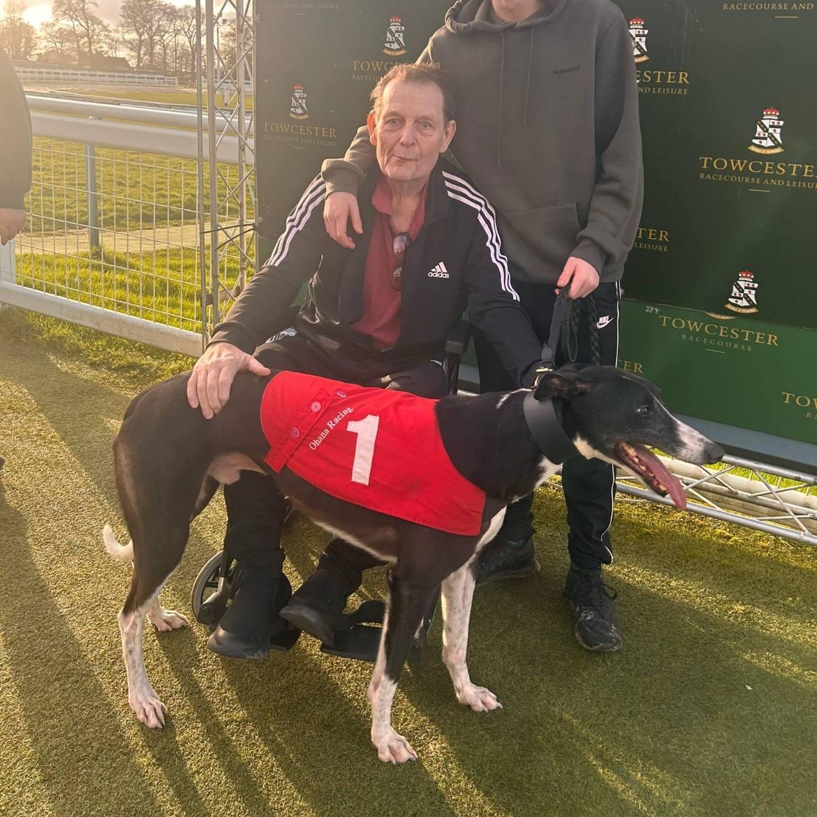 Enlarge Kilara Montjue (Monty), a ADOPTABLE Greyhound in North Port, FL image 3/4