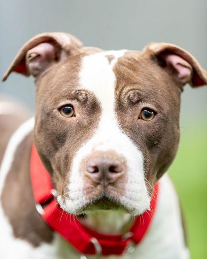 Derrick — thumbnail 2