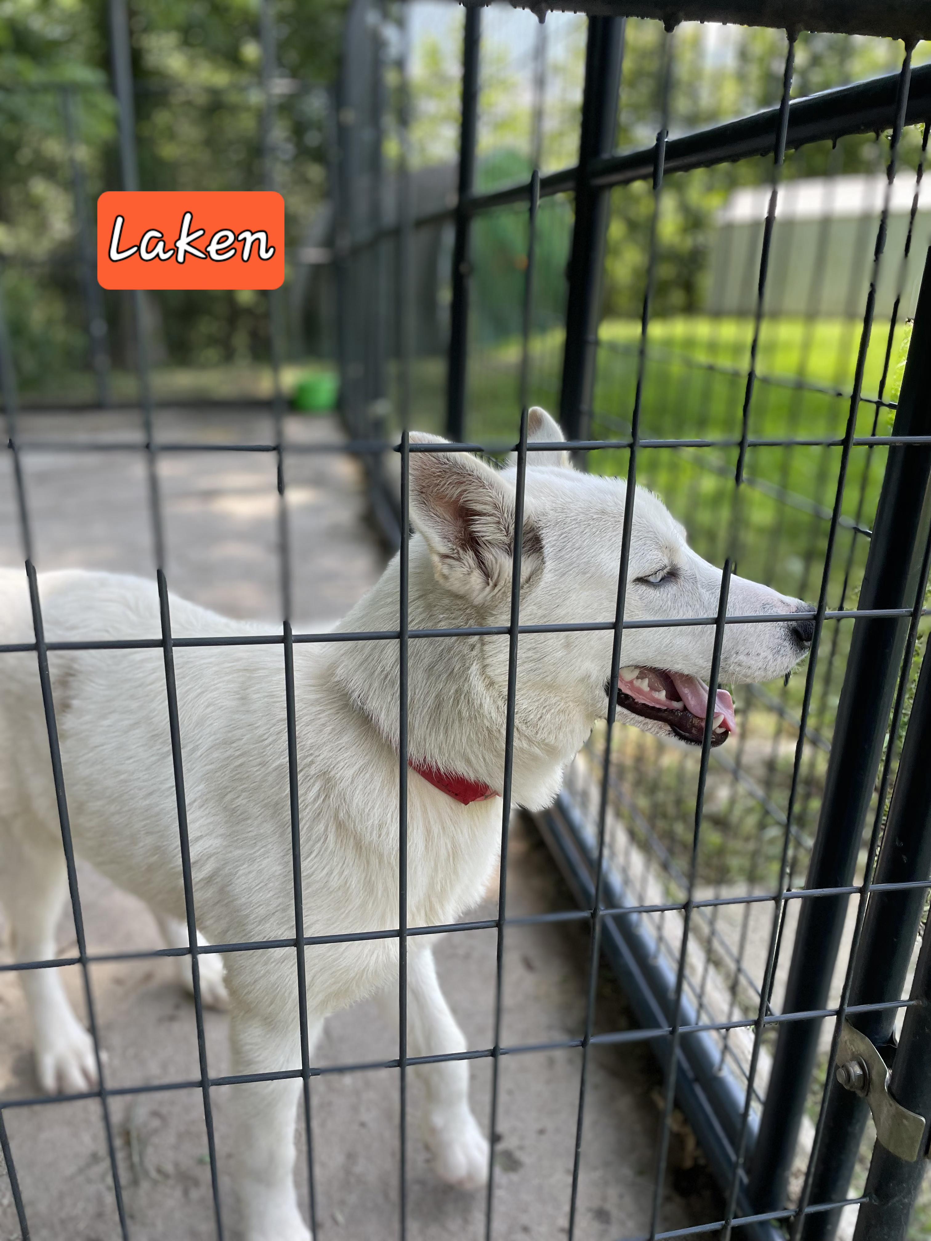 Laken photo 1