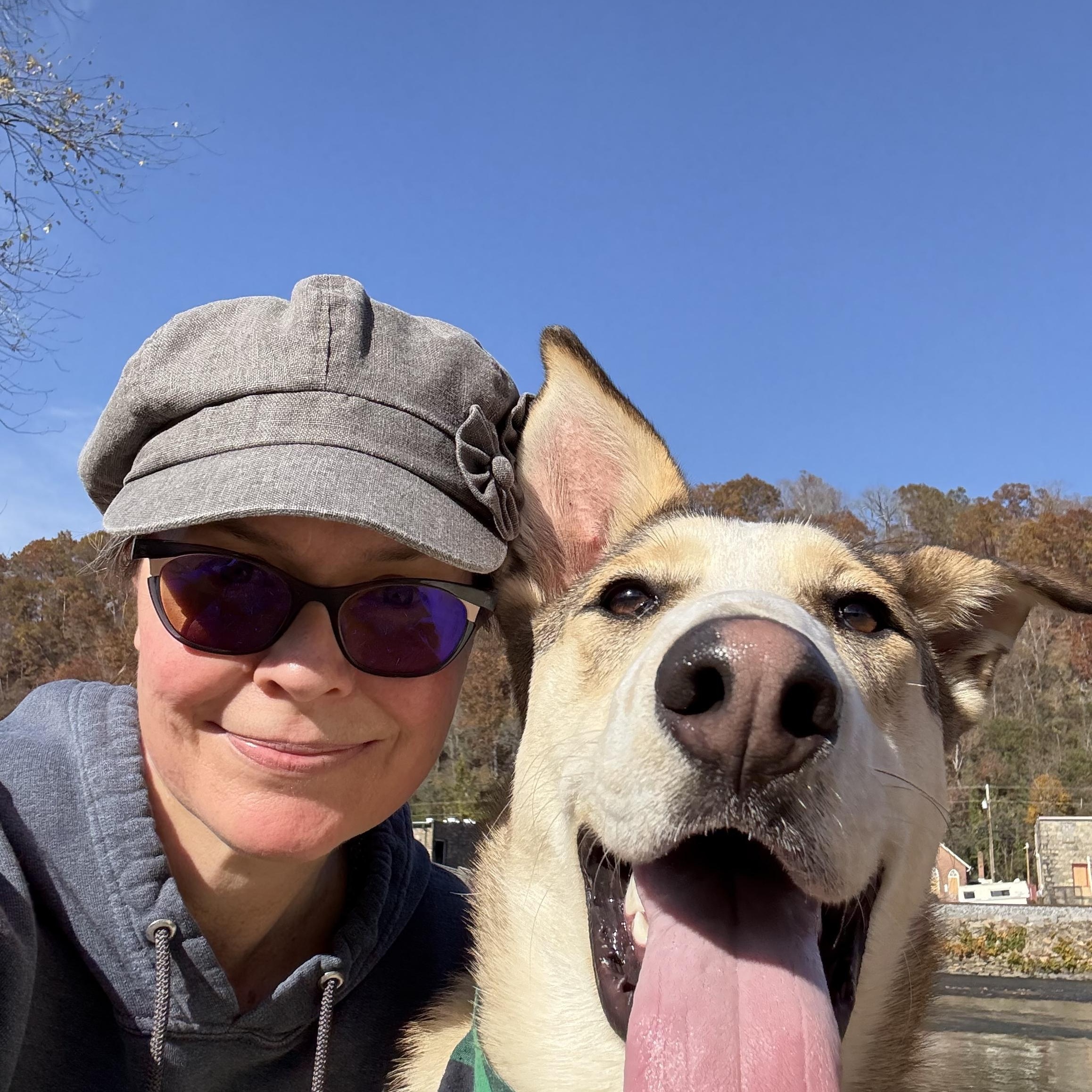 Waylon, a Adoptable mixed breed in Marshall, NC image 5/6