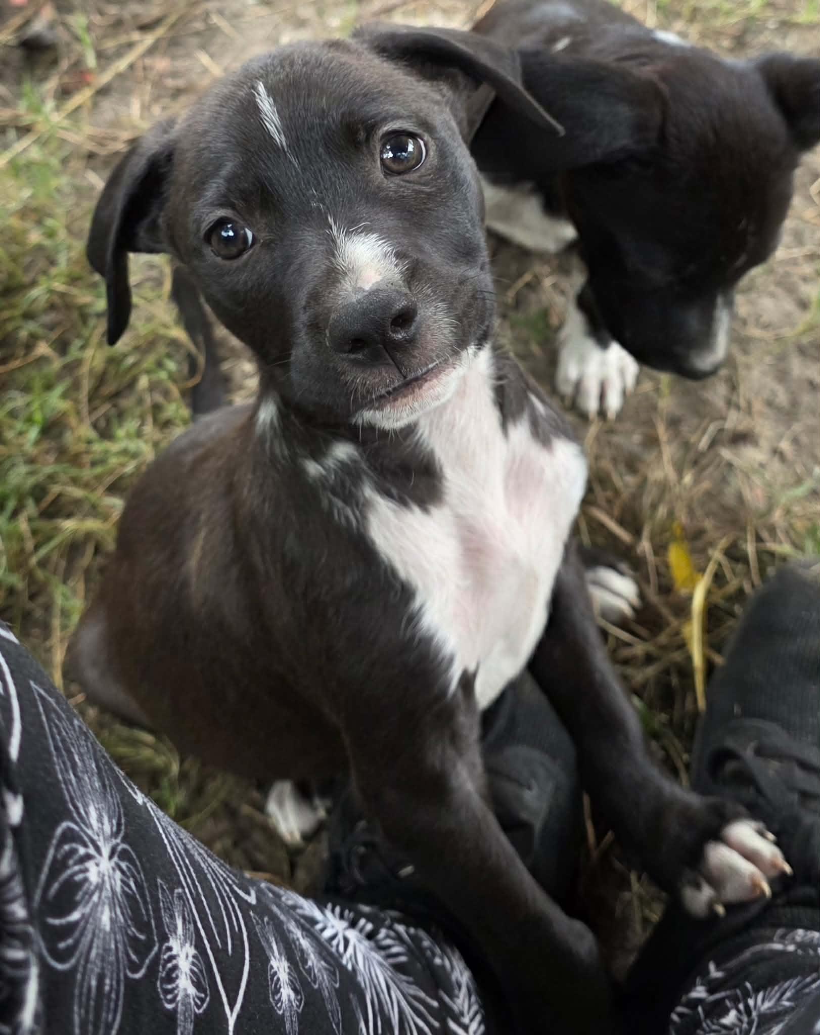 Matilda photo