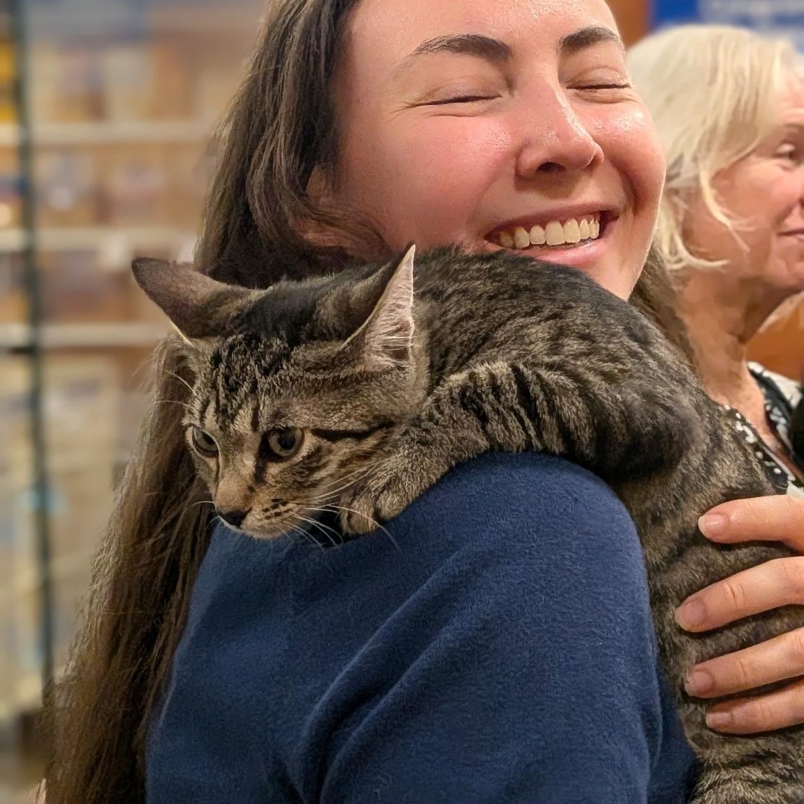 Enlarge August, a Adoptable Tabby in Wilmington, NC image 2/6
