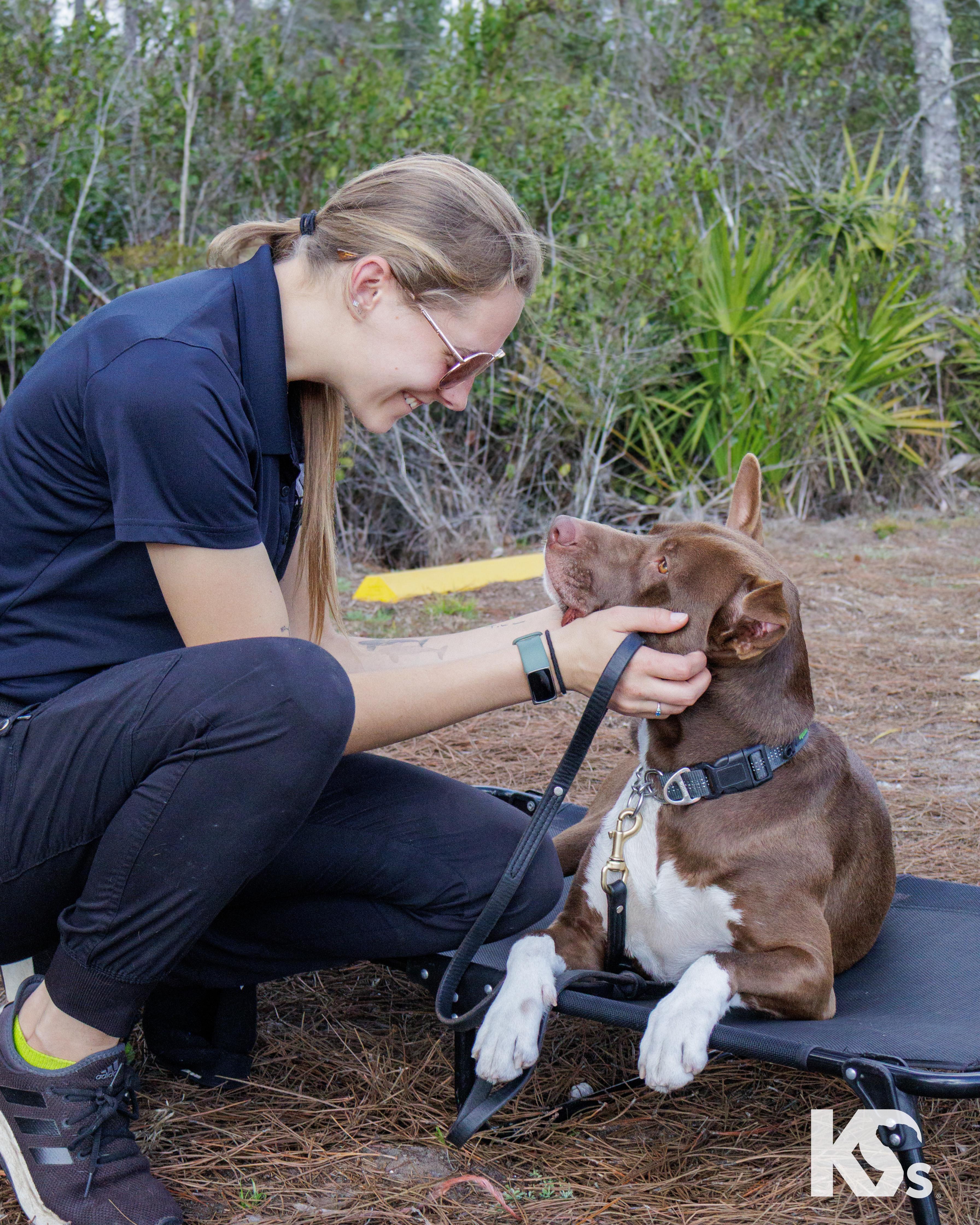 Bucky, a Adoptable mixed breed in Ponte Vedra, FL image 3/6