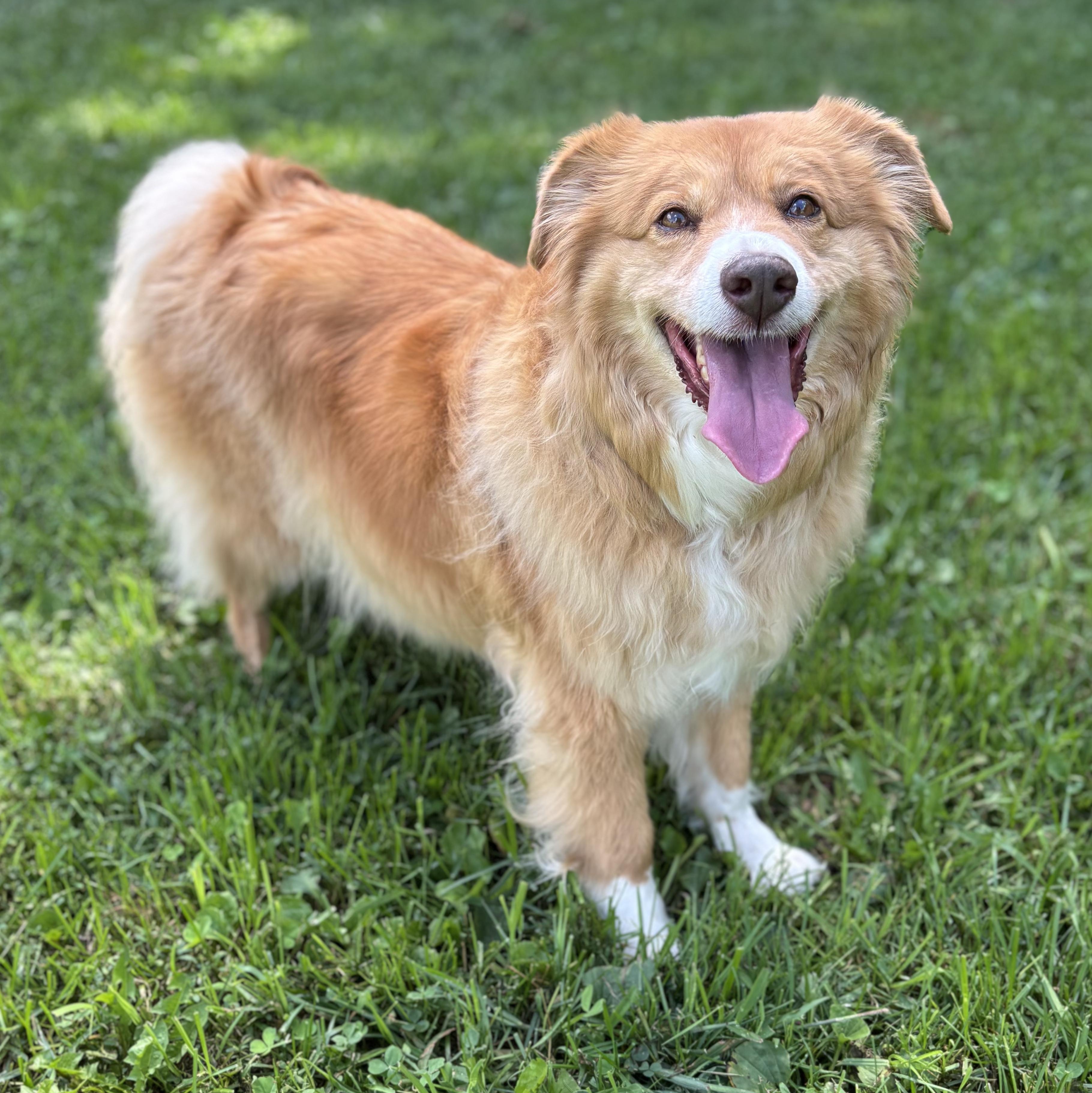 COURTESY POST - Bubbles - McHenry, IL