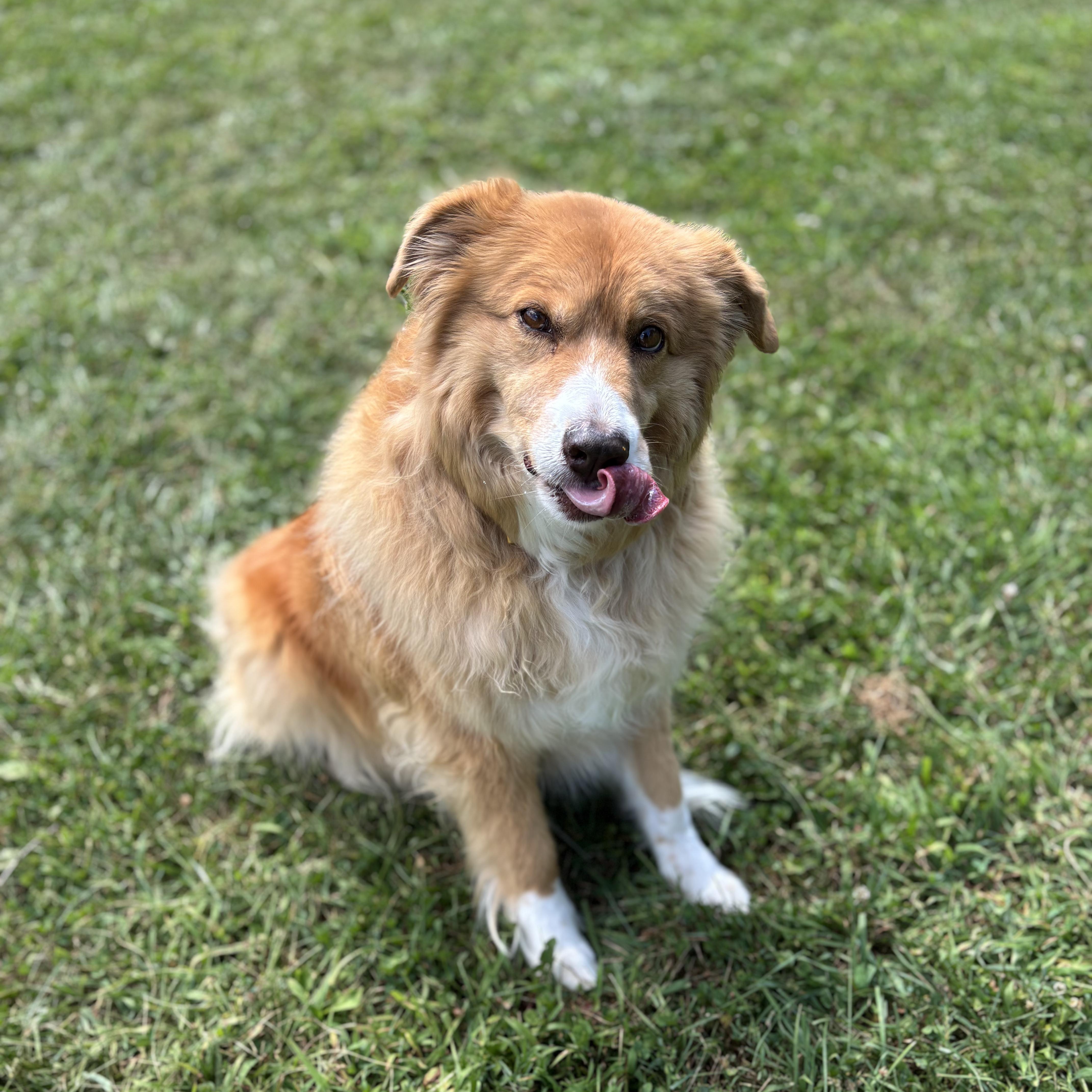 COURTESY POST - Bubbles - McHenry, IL