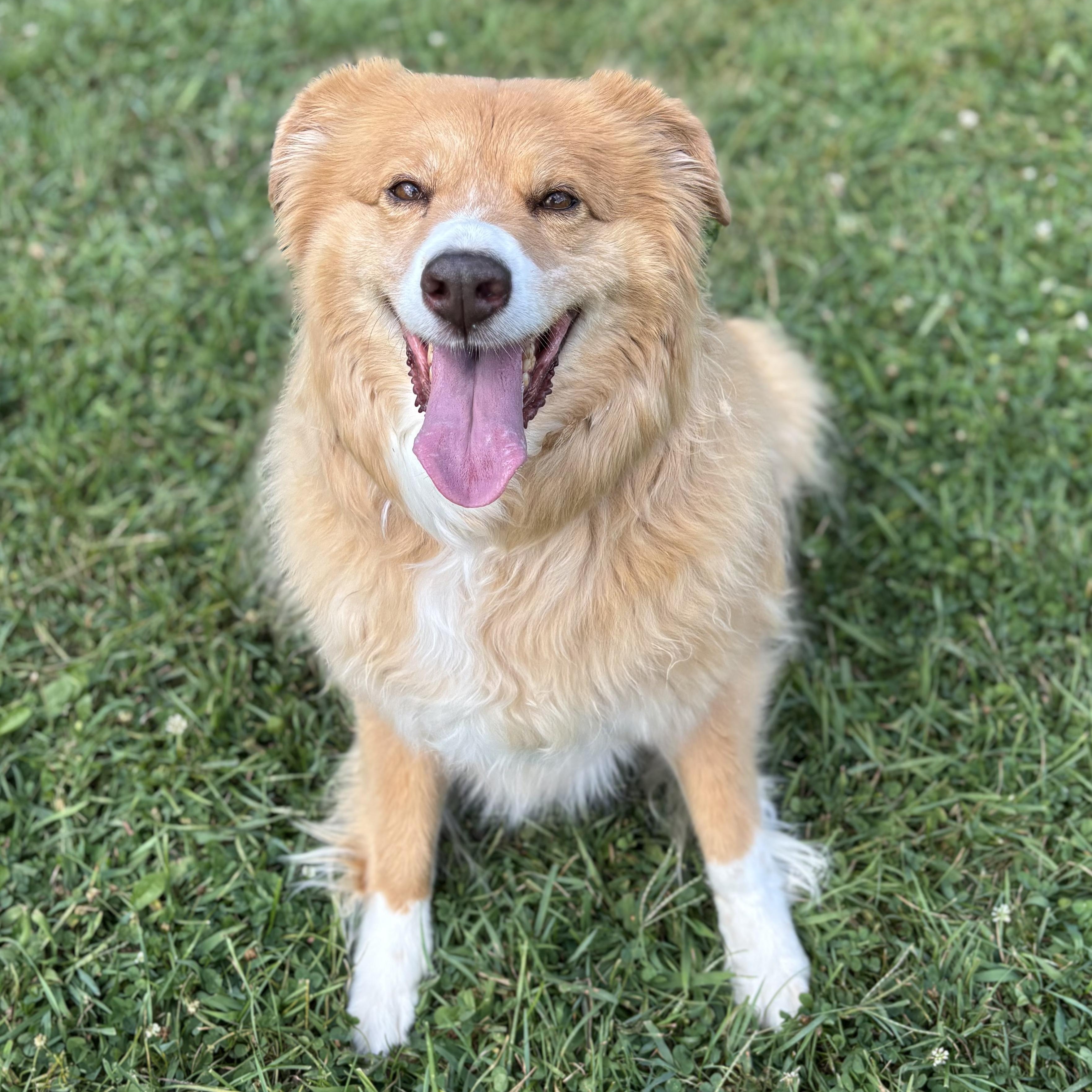 COURTESY POST - Bubbles - McHenry, IL