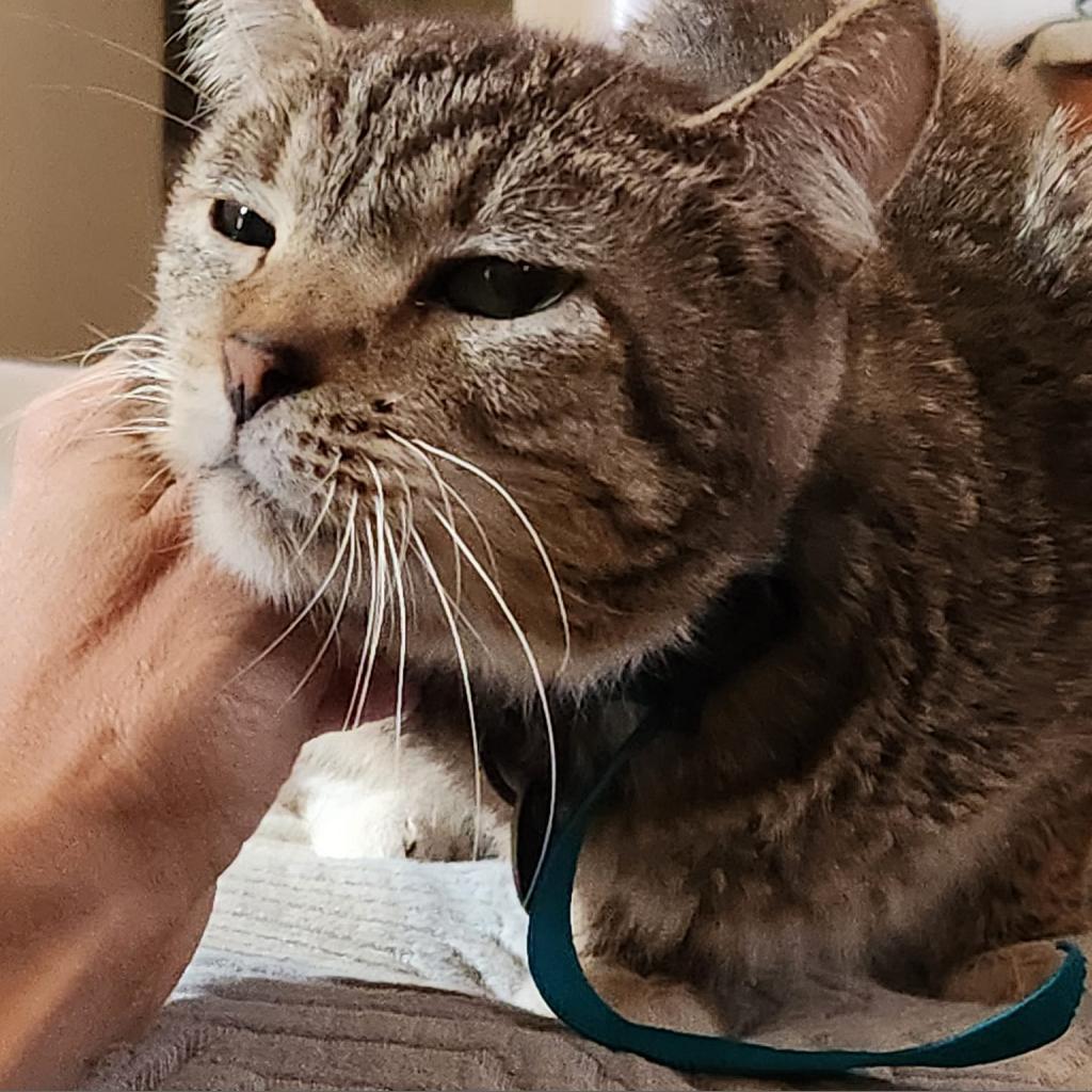 Blakely — thumbnail 2