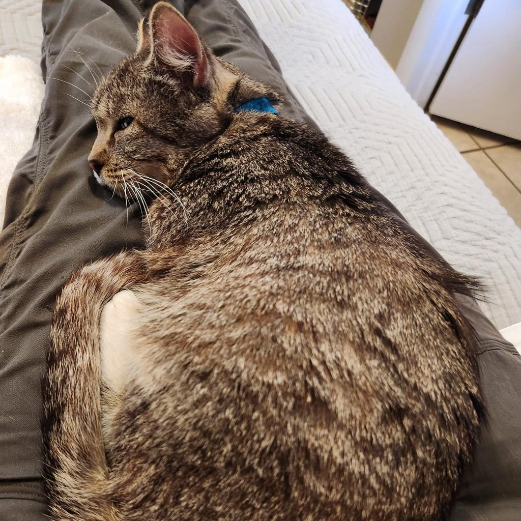 Blakely — thumbnail 3