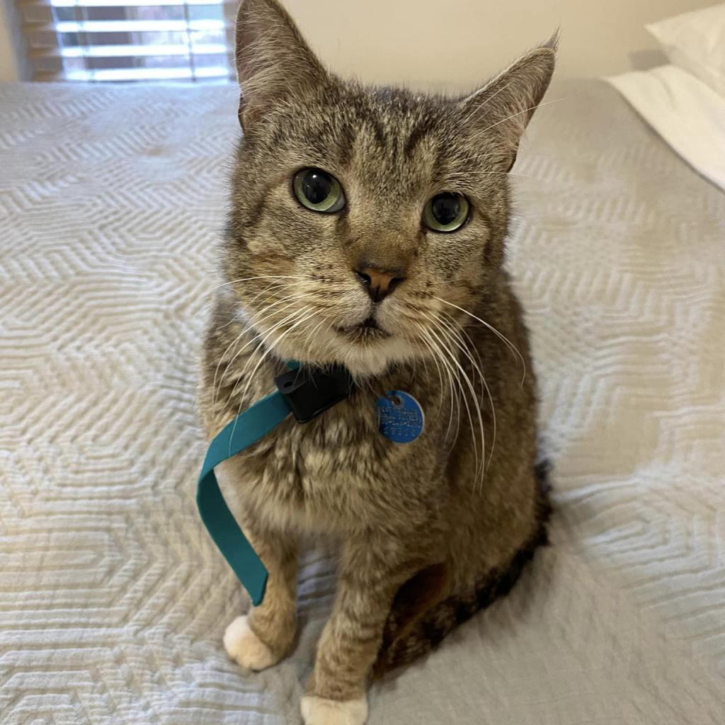 Blakely — thumbnail 4