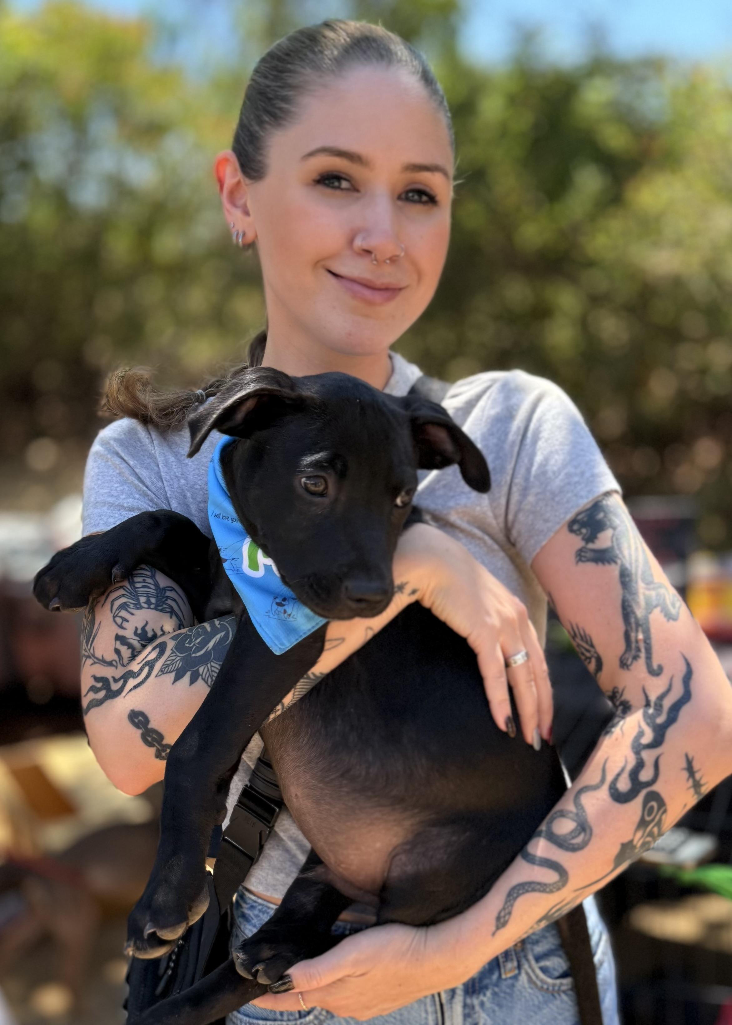 Taz, a Adopted mixed breed in Thousand Oaks, CA image 3/6