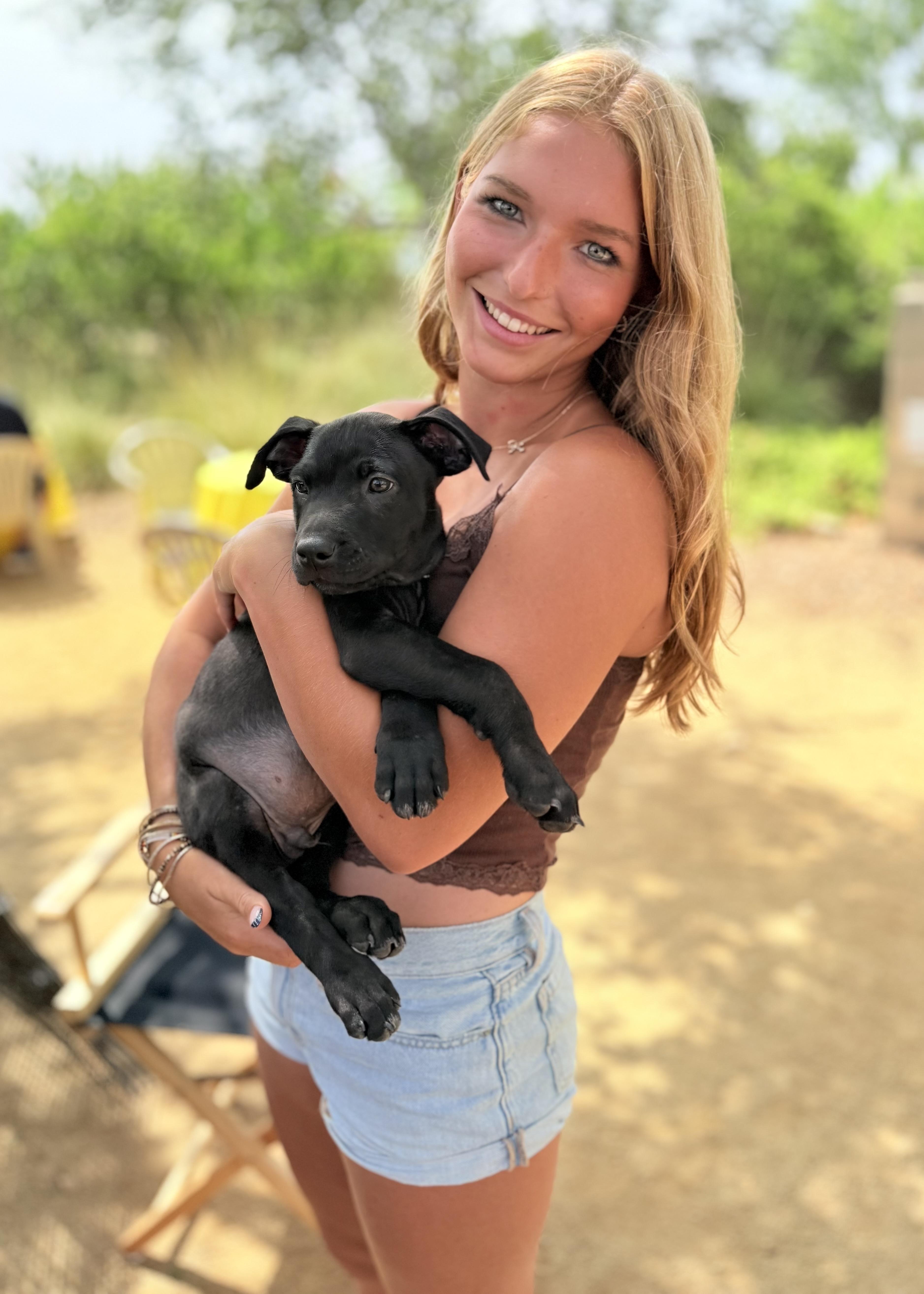 Taz, a Adopted mixed breed in Thousand Oaks, CA image 5/6