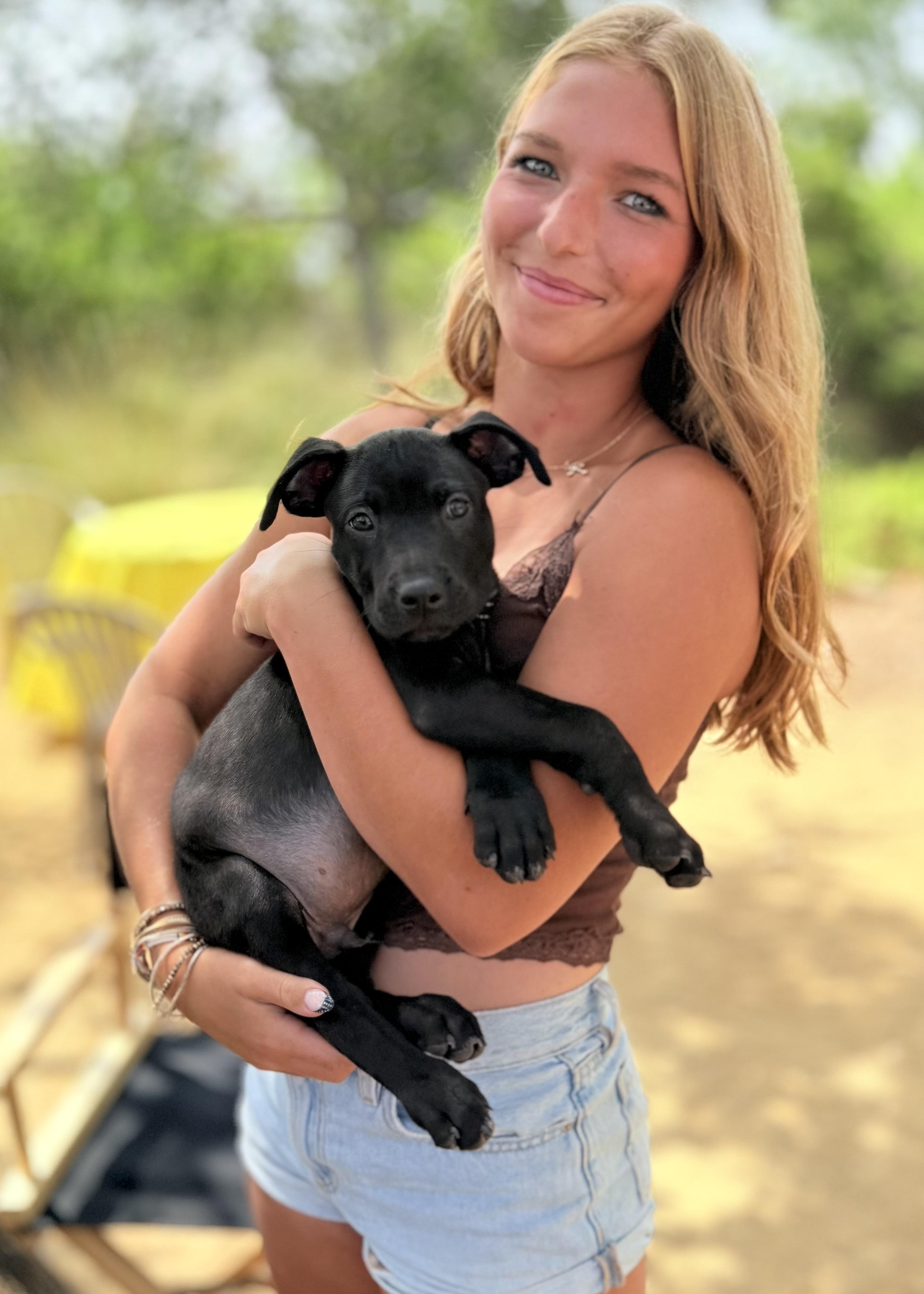 Taz, a Adopted mixed breed in Thousand Oaks, CA image 6/6