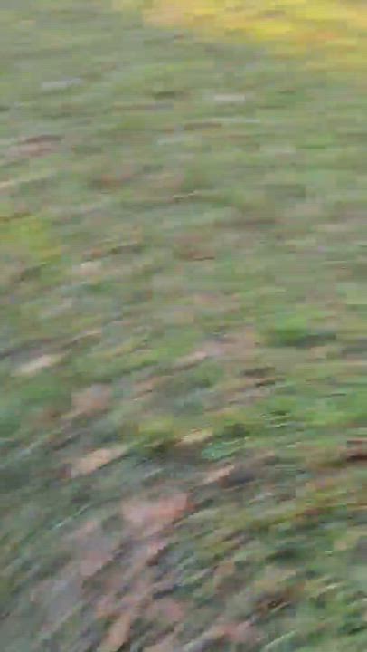 Enlarge Snow White, an adoptable Mixed Breed in Argyle, NY video 5/6