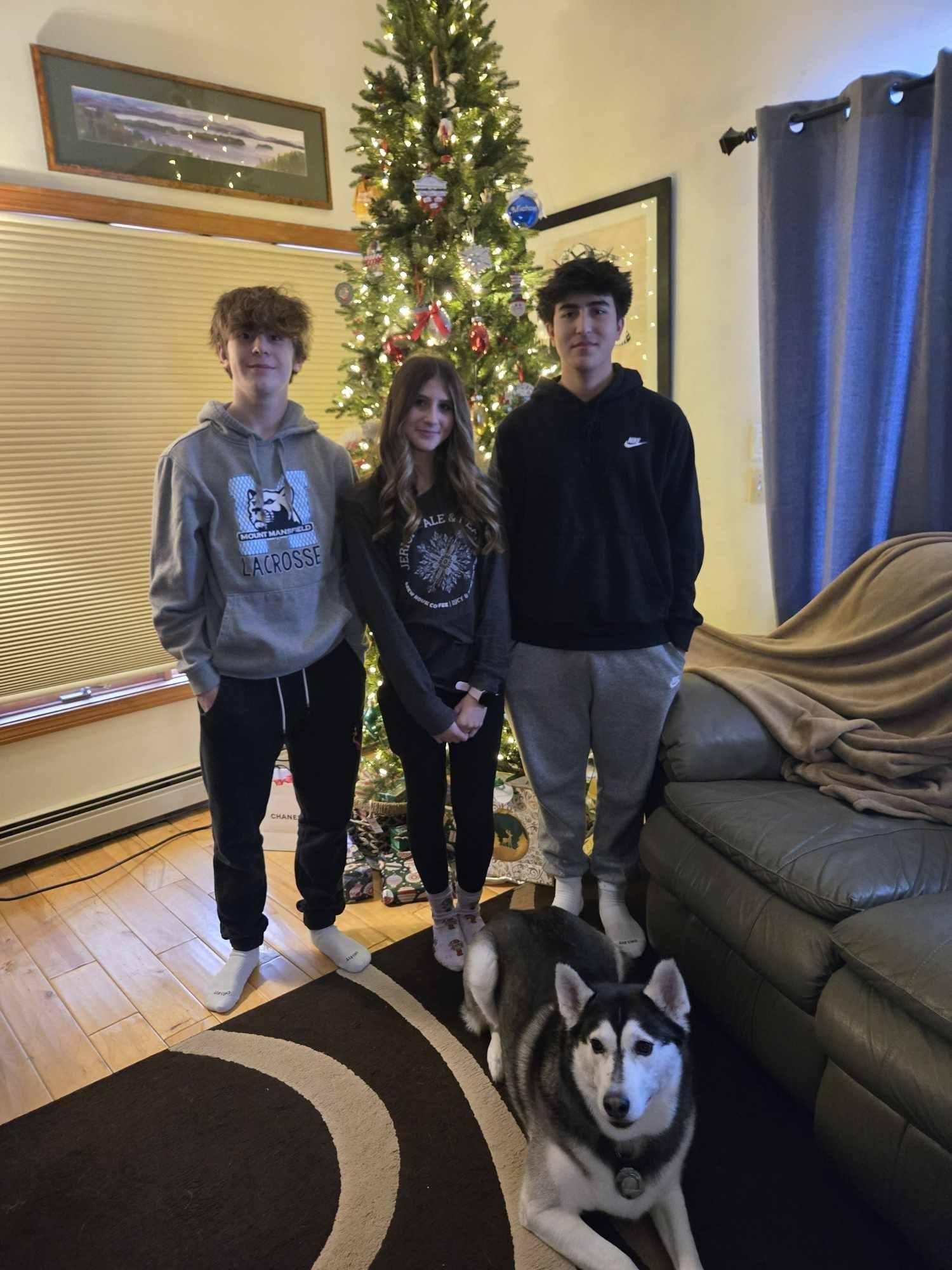 Ferda aka Katniss, a Adoptable Mixed Breed in Shelburne, VT image 2/3