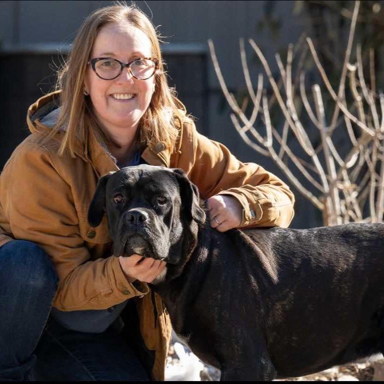 Enlarge Maggie May, a Adoptable mixed breed in Phoenixville, PA image 6/6