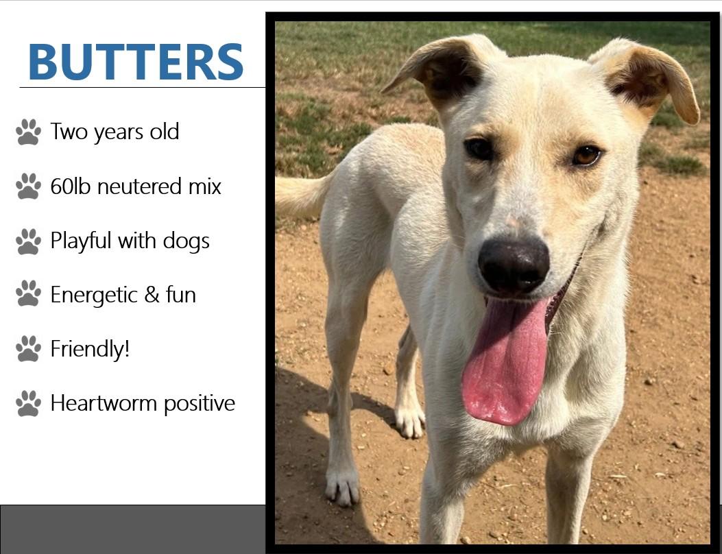 Foster BUTTERS!