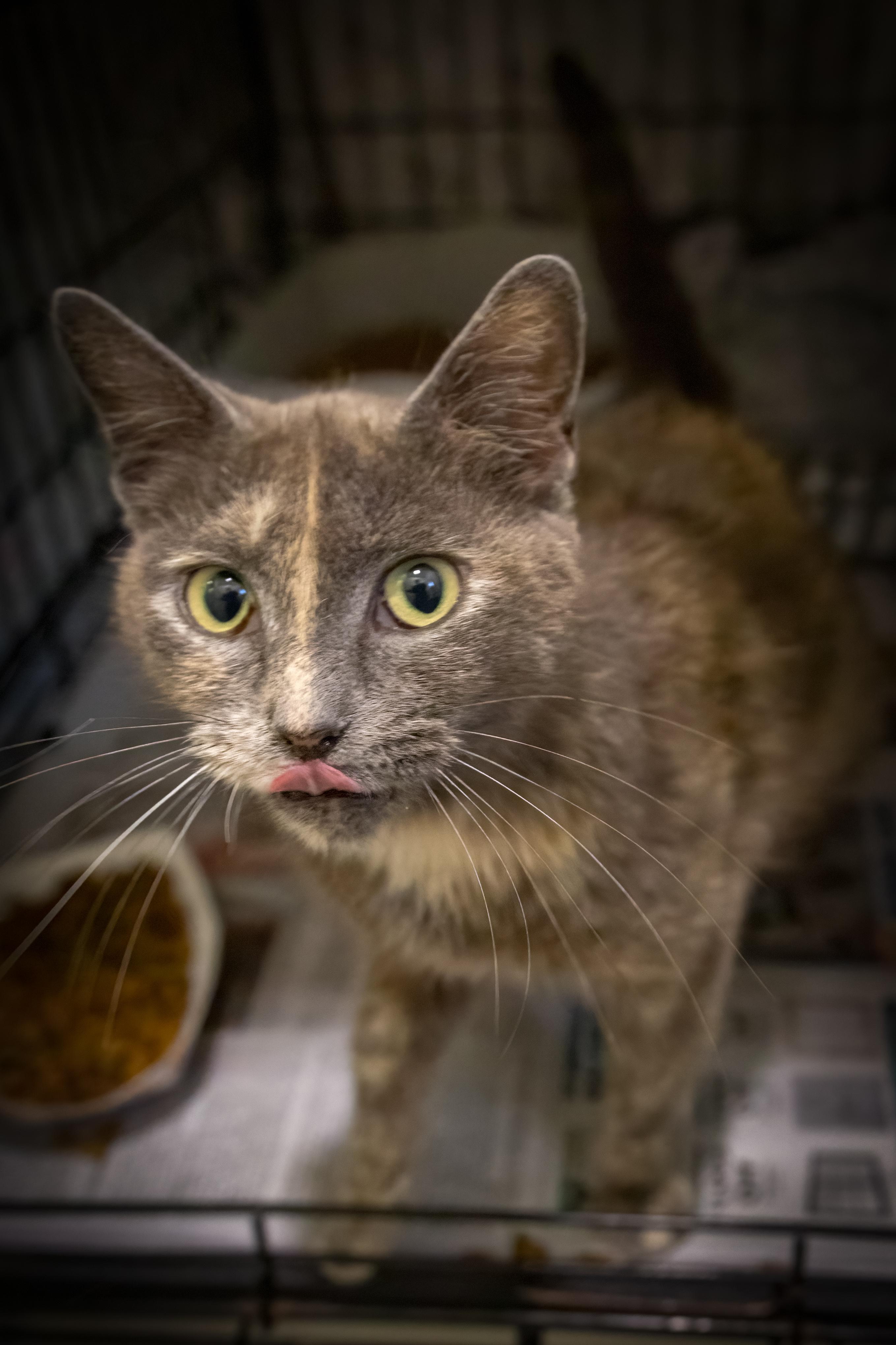 Precious thumbnail 5