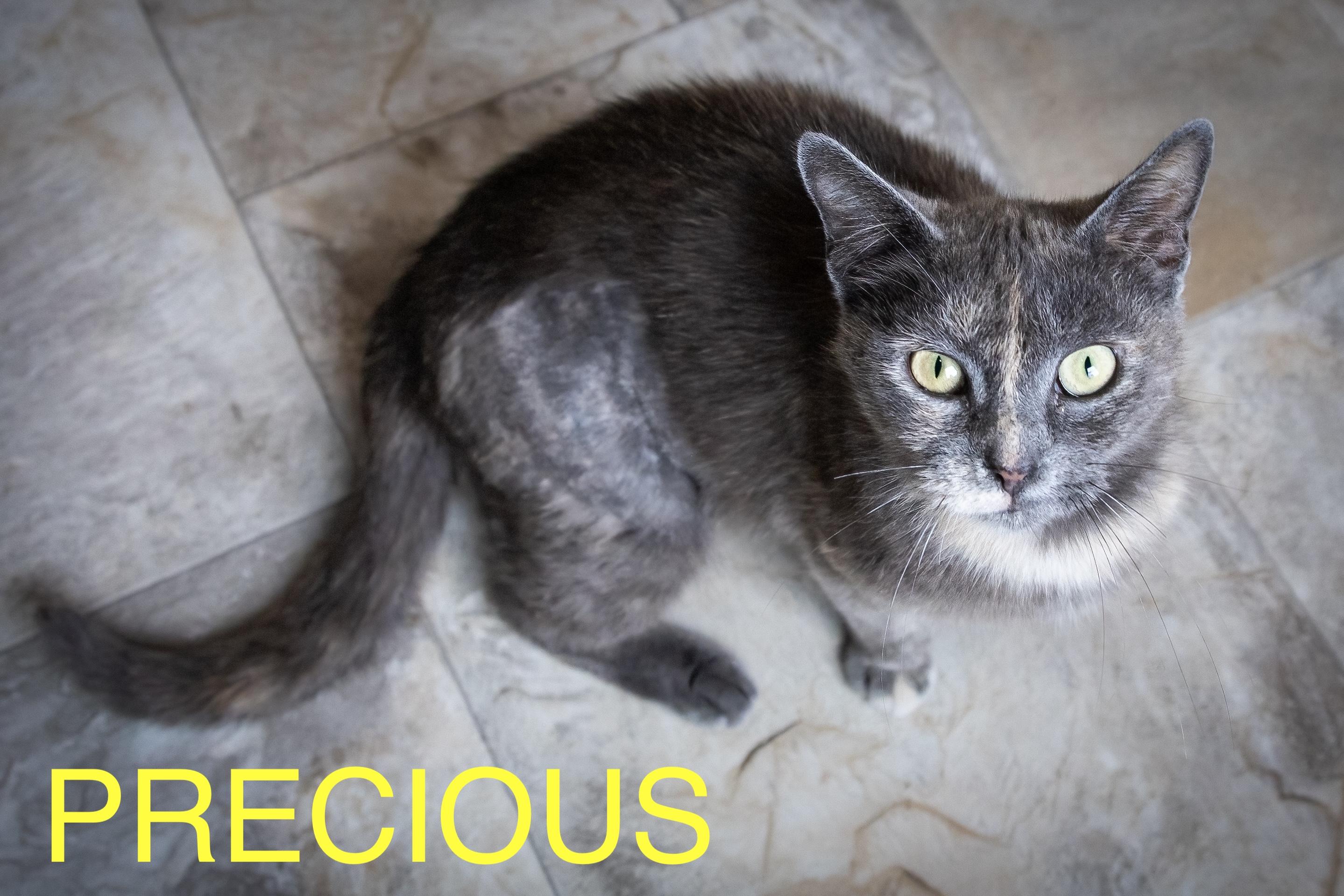 Precious thumbnail 3