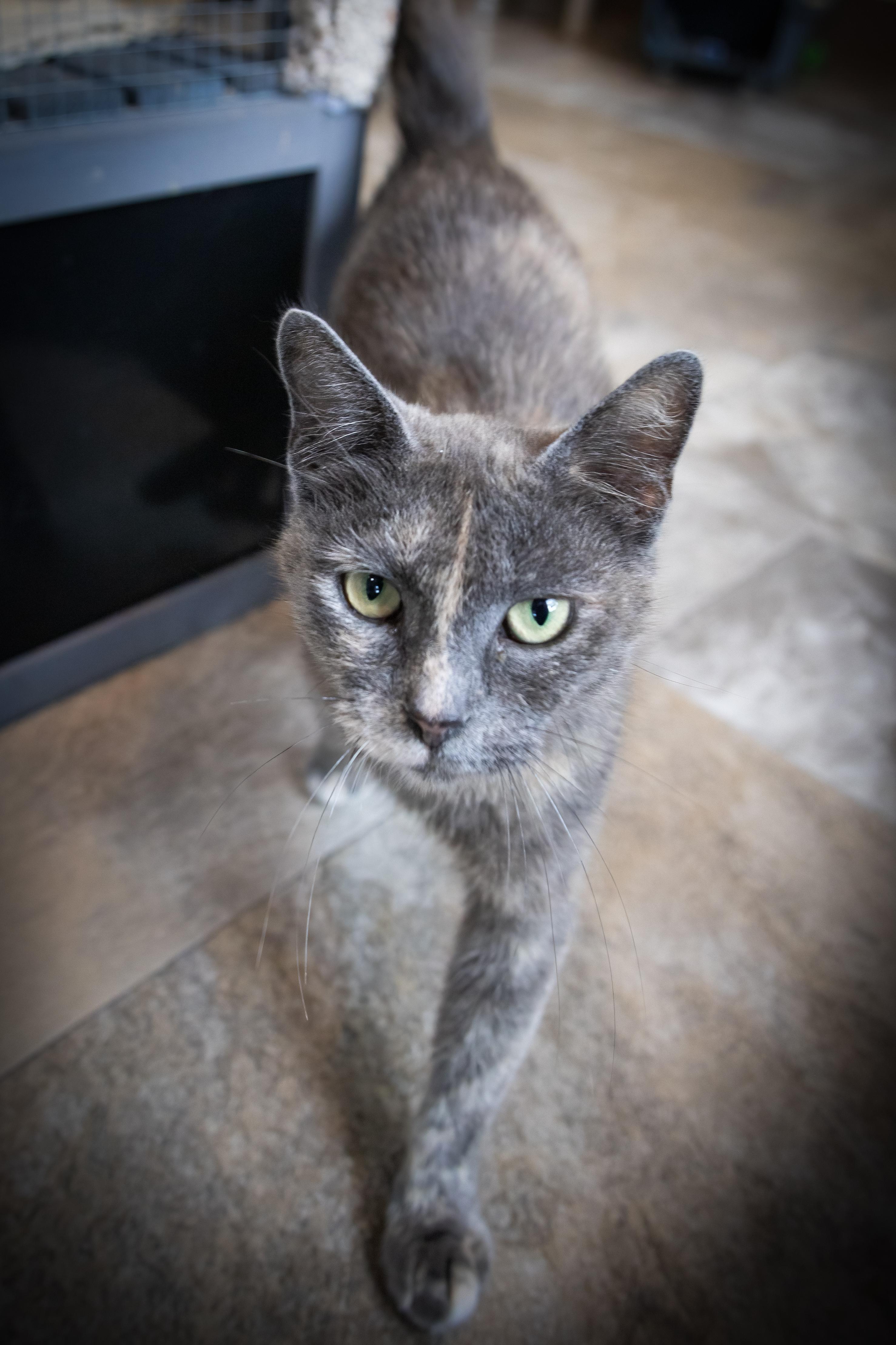 Precious thumbnail 2