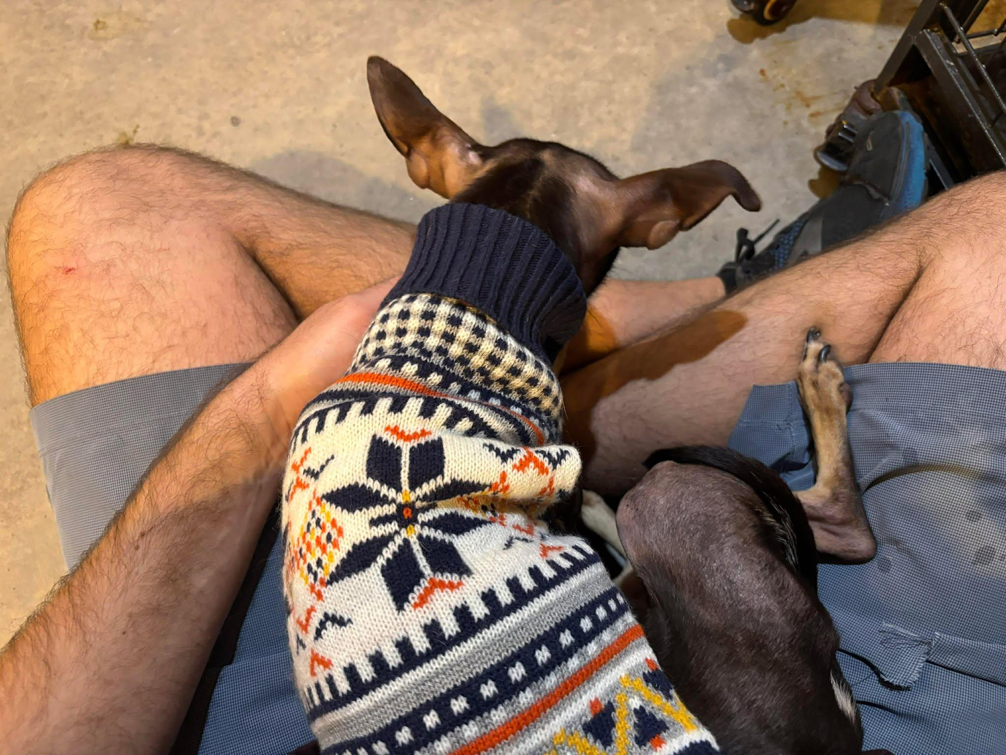 Crinkle — thumbnail 2