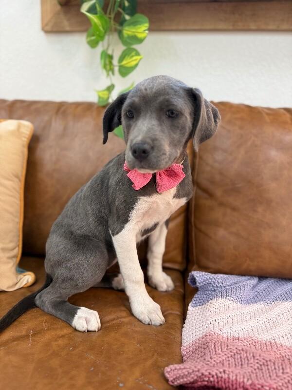 Sid baby cutes — thumbnail 2