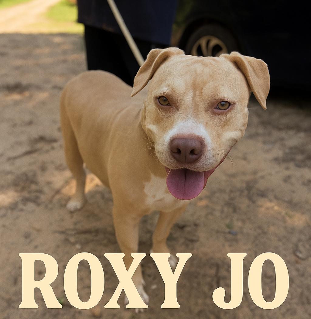 ROXY JO