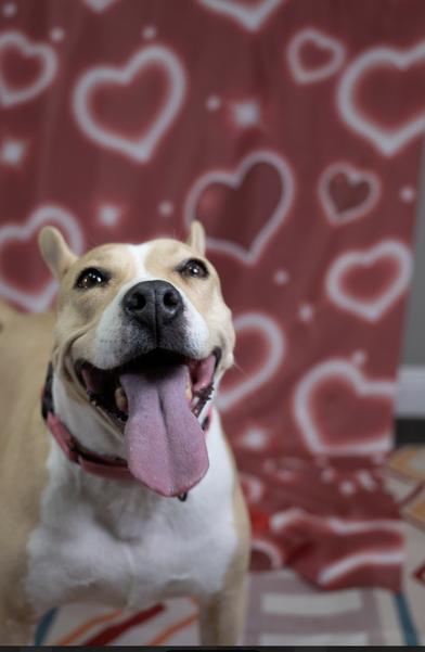 Maggie — thumbnail 2