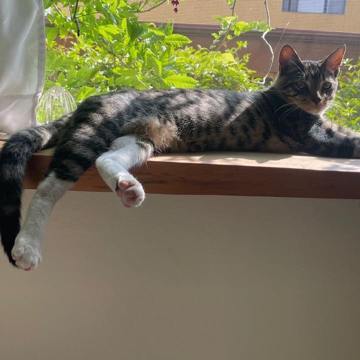 Jupiter — thumbnail 5