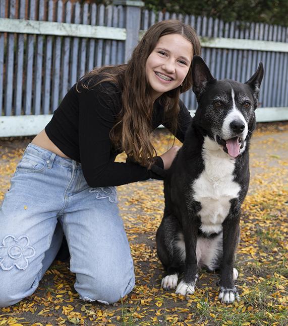 Enlarge Holly, a Adoptable mixed breed in Chicago, IL image 2/6
