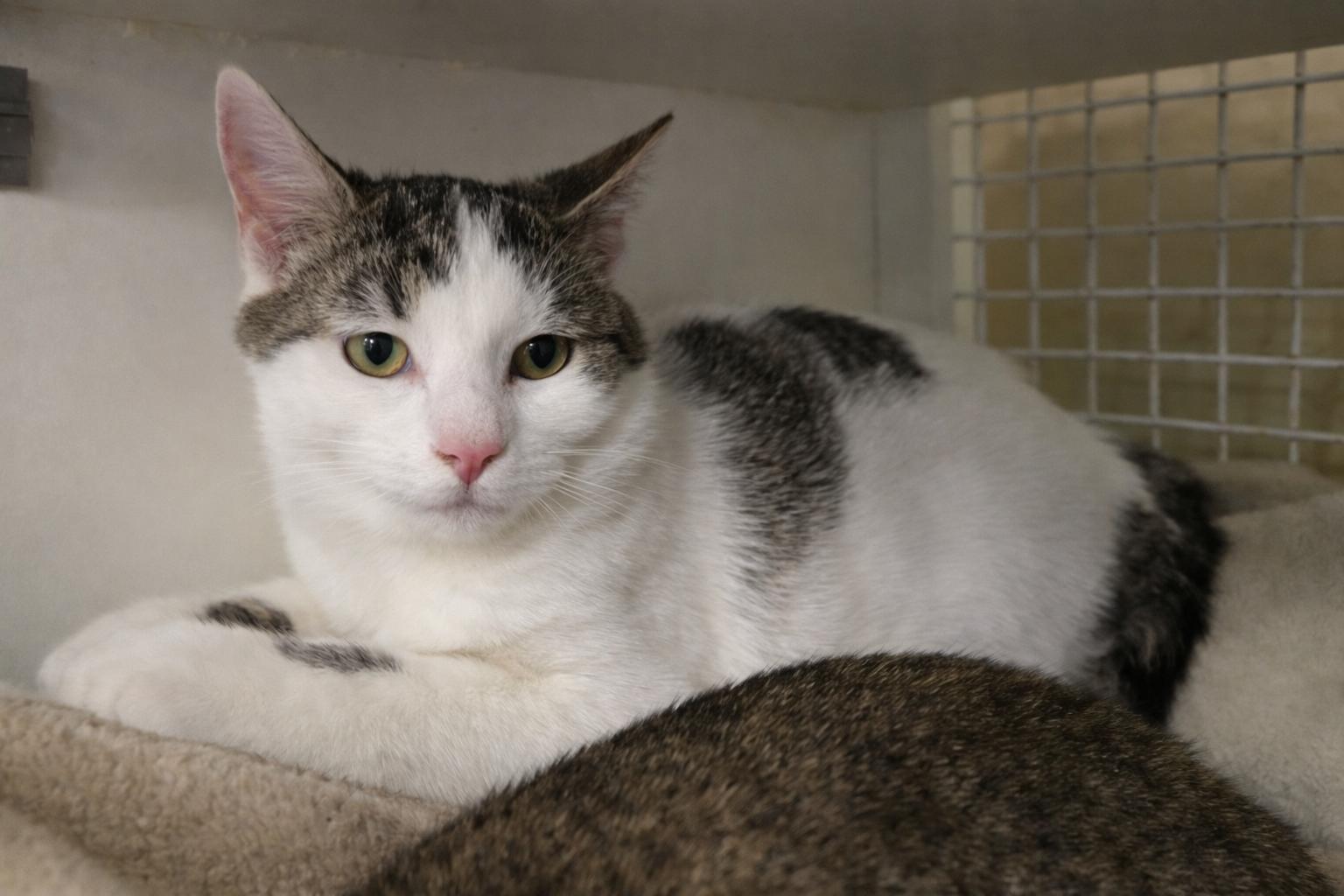 Thelma — thumbnail 2