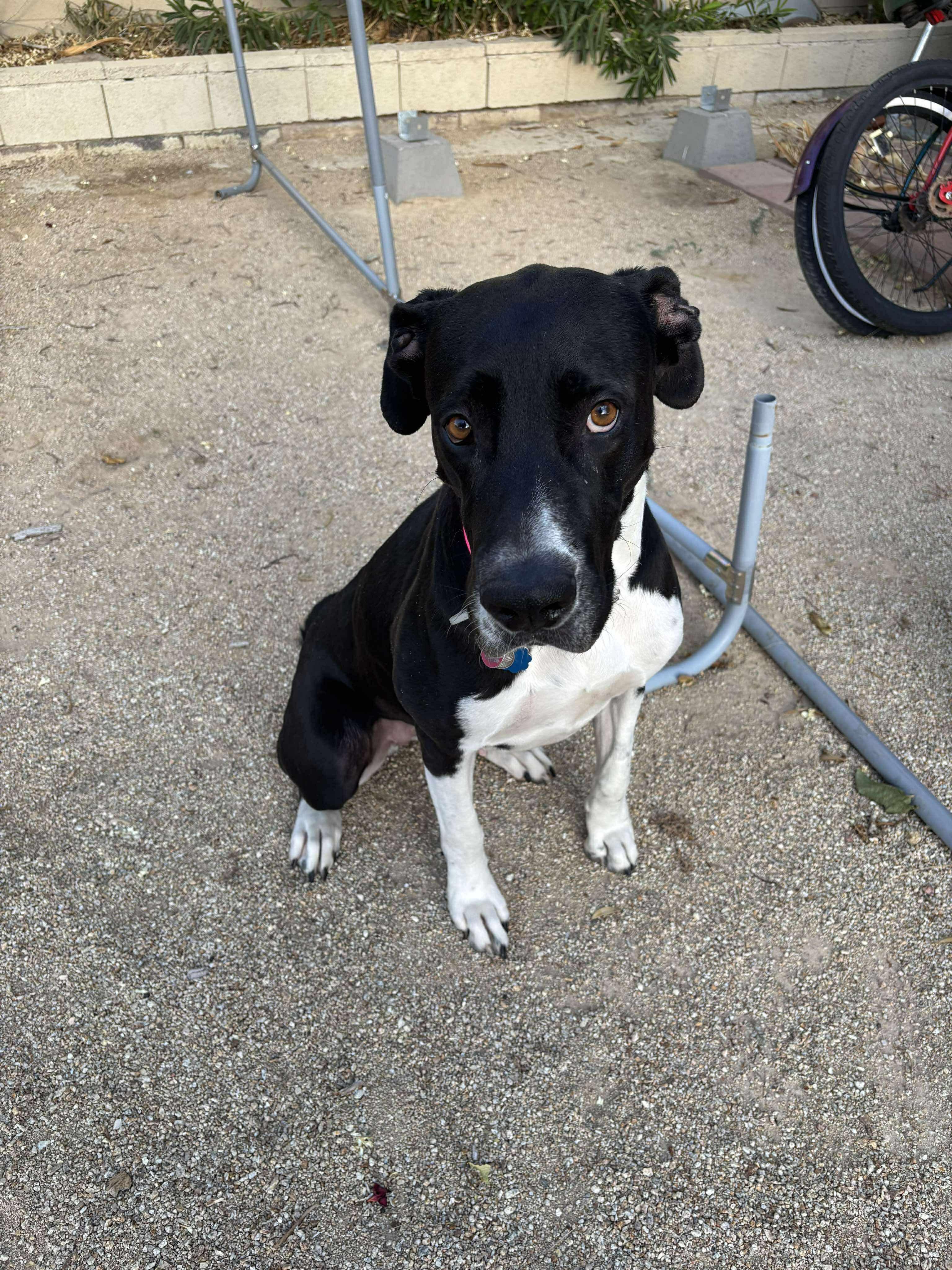 Lucy