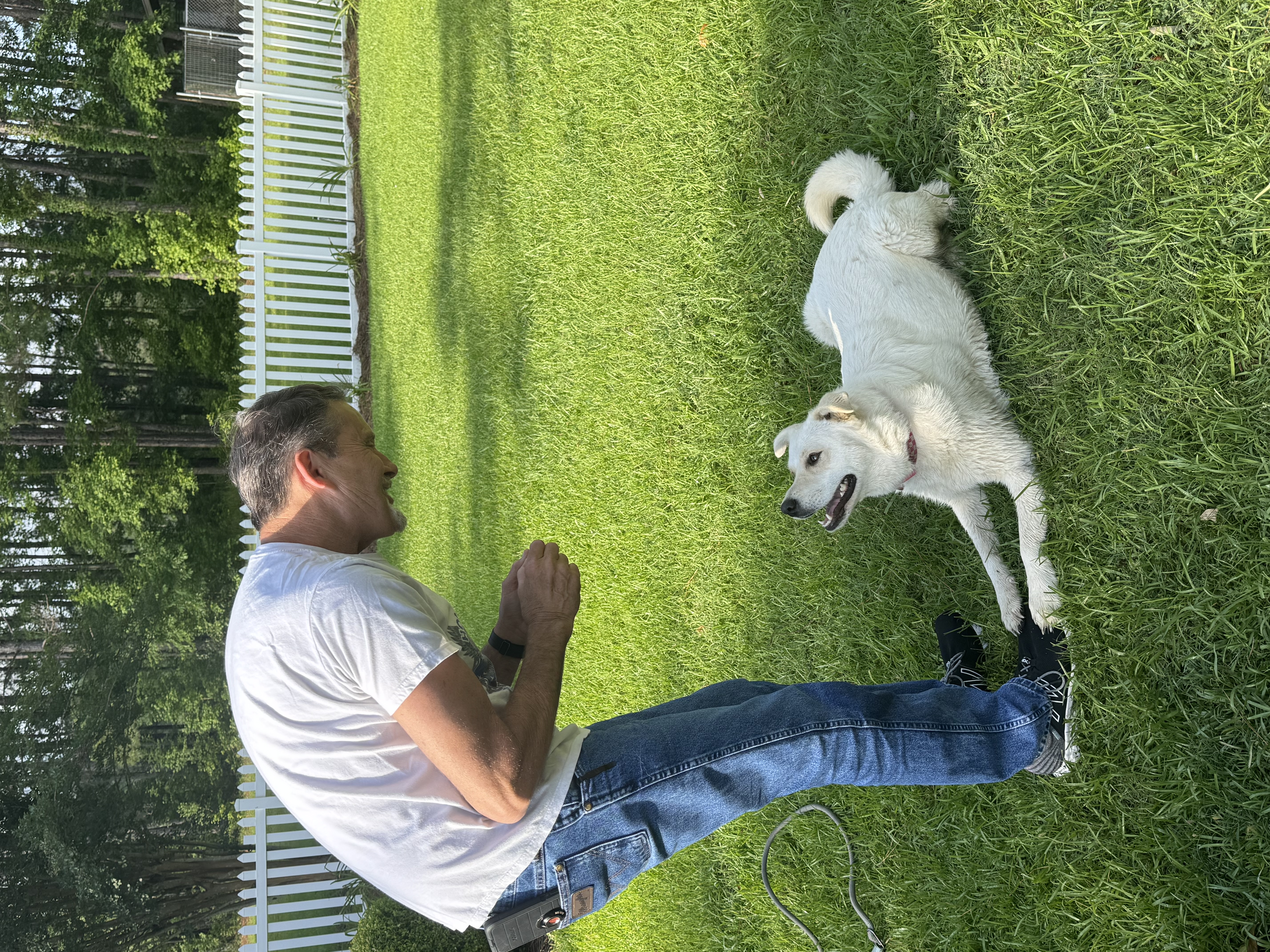 Daisy, a Adoptable Husky in Valdosta, GA image 5/6