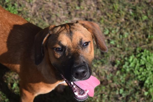 Snack Wrap thumbnail 3