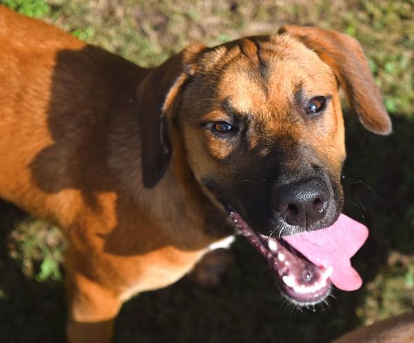 Snack Wrap thumbnail 6