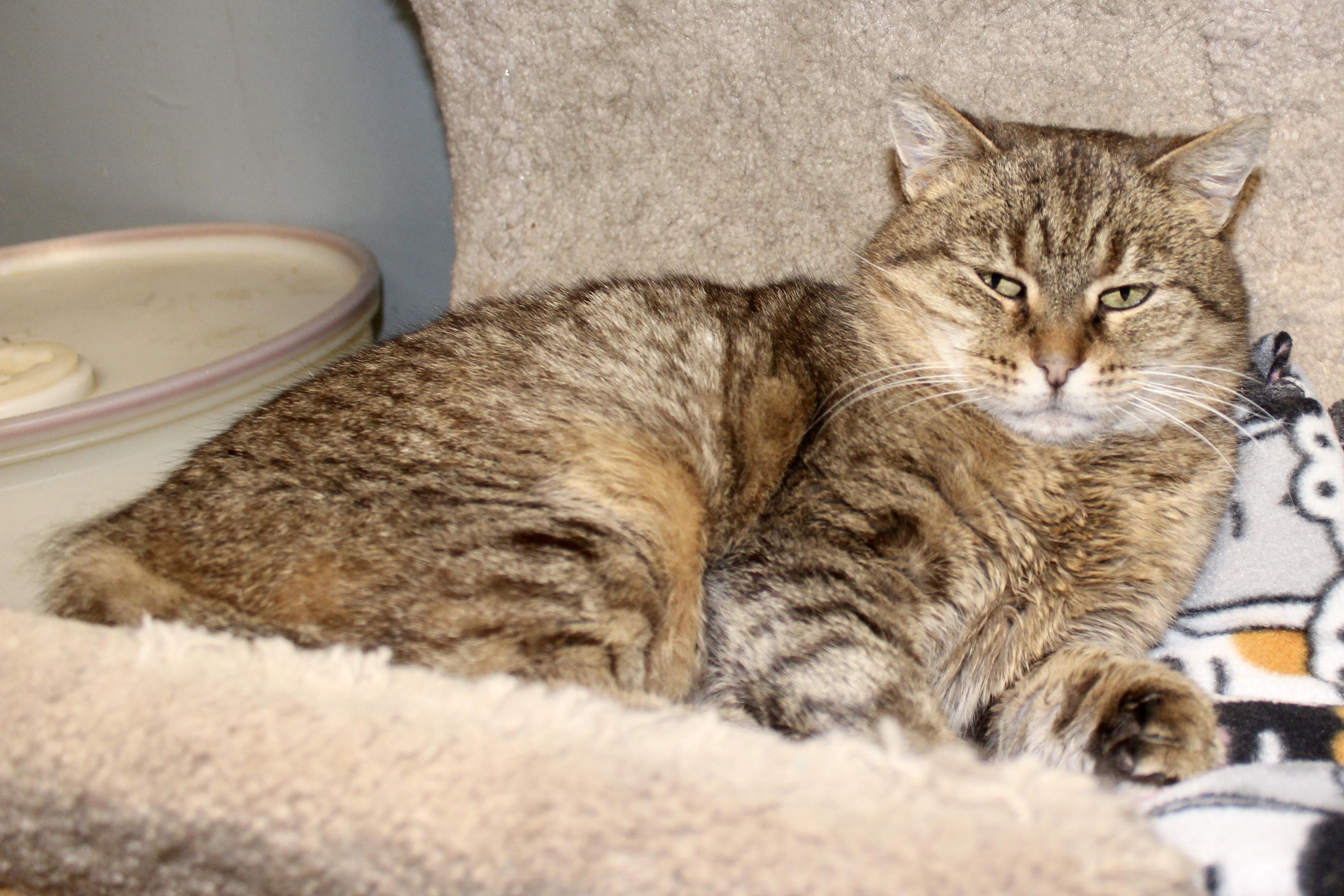 MEEKELLE — thumbnail 2