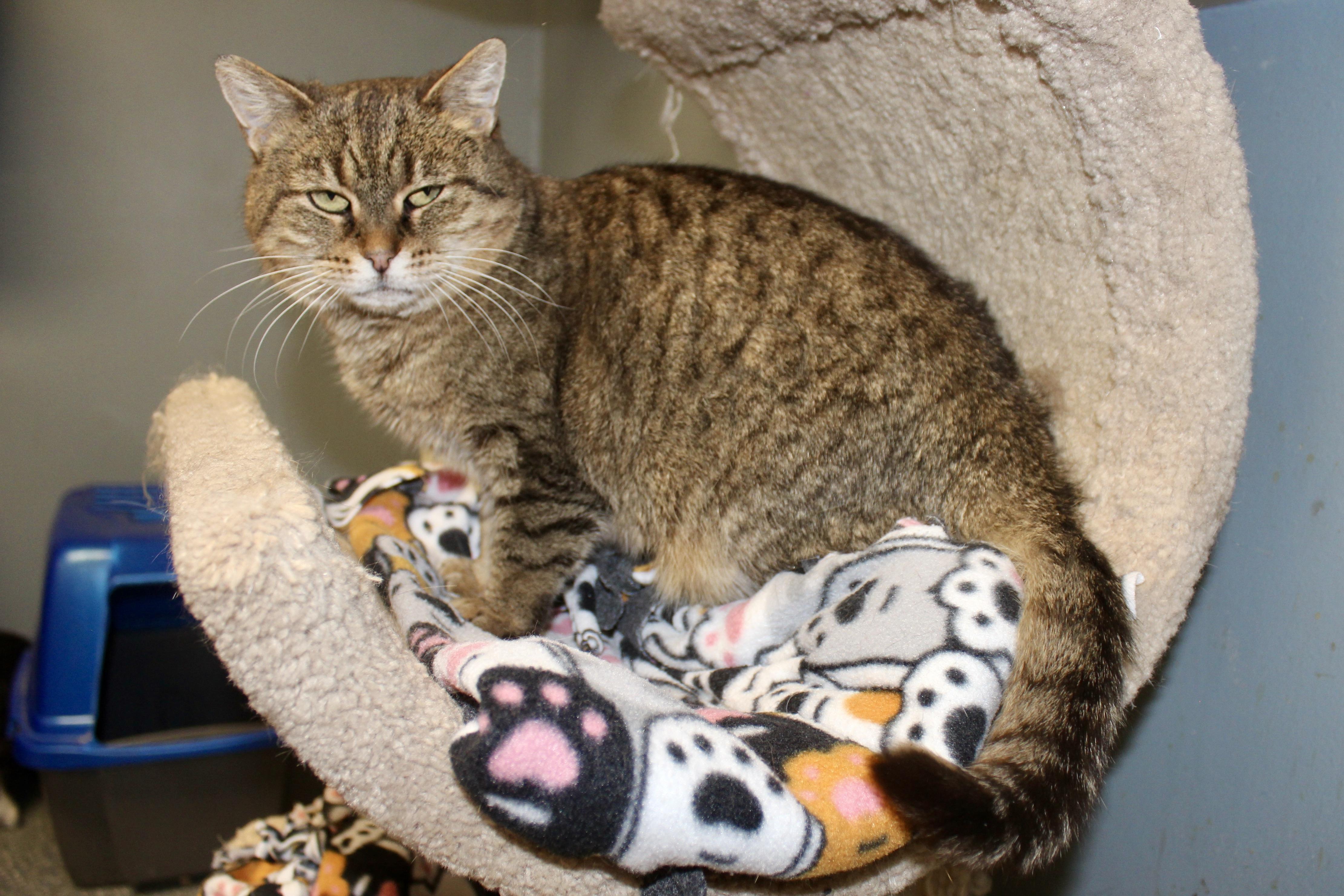 MEEKELLE — thumbnail 5