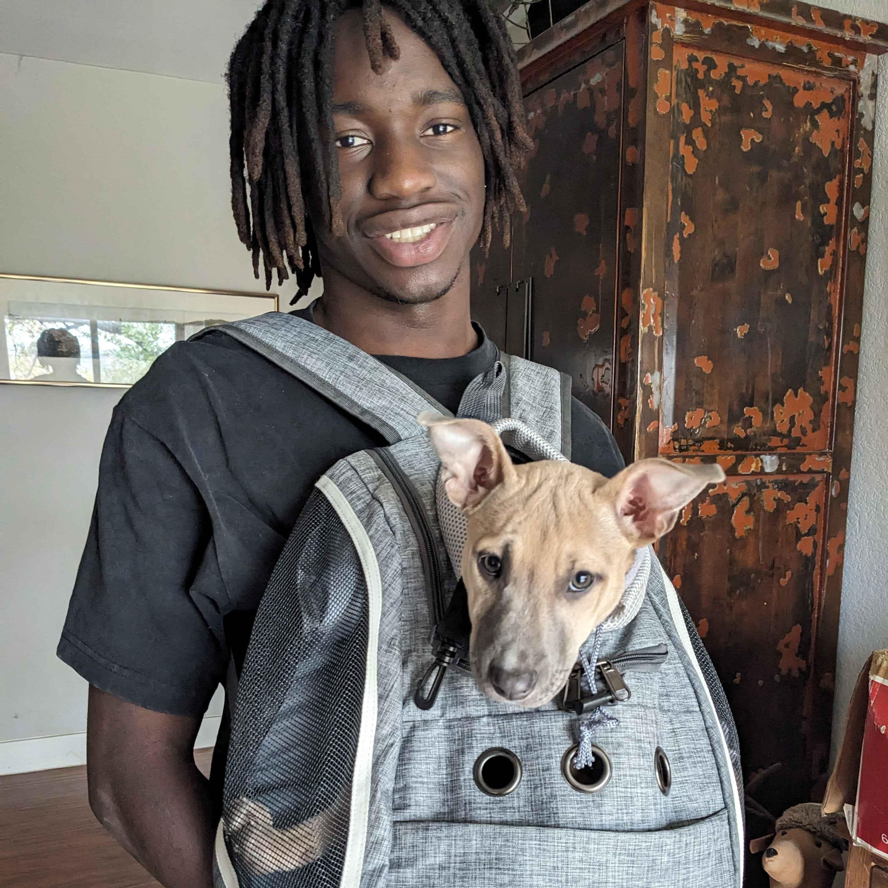 Enlarge Lemon, a Adoptable mixed breed in Austin, TX image 2/5