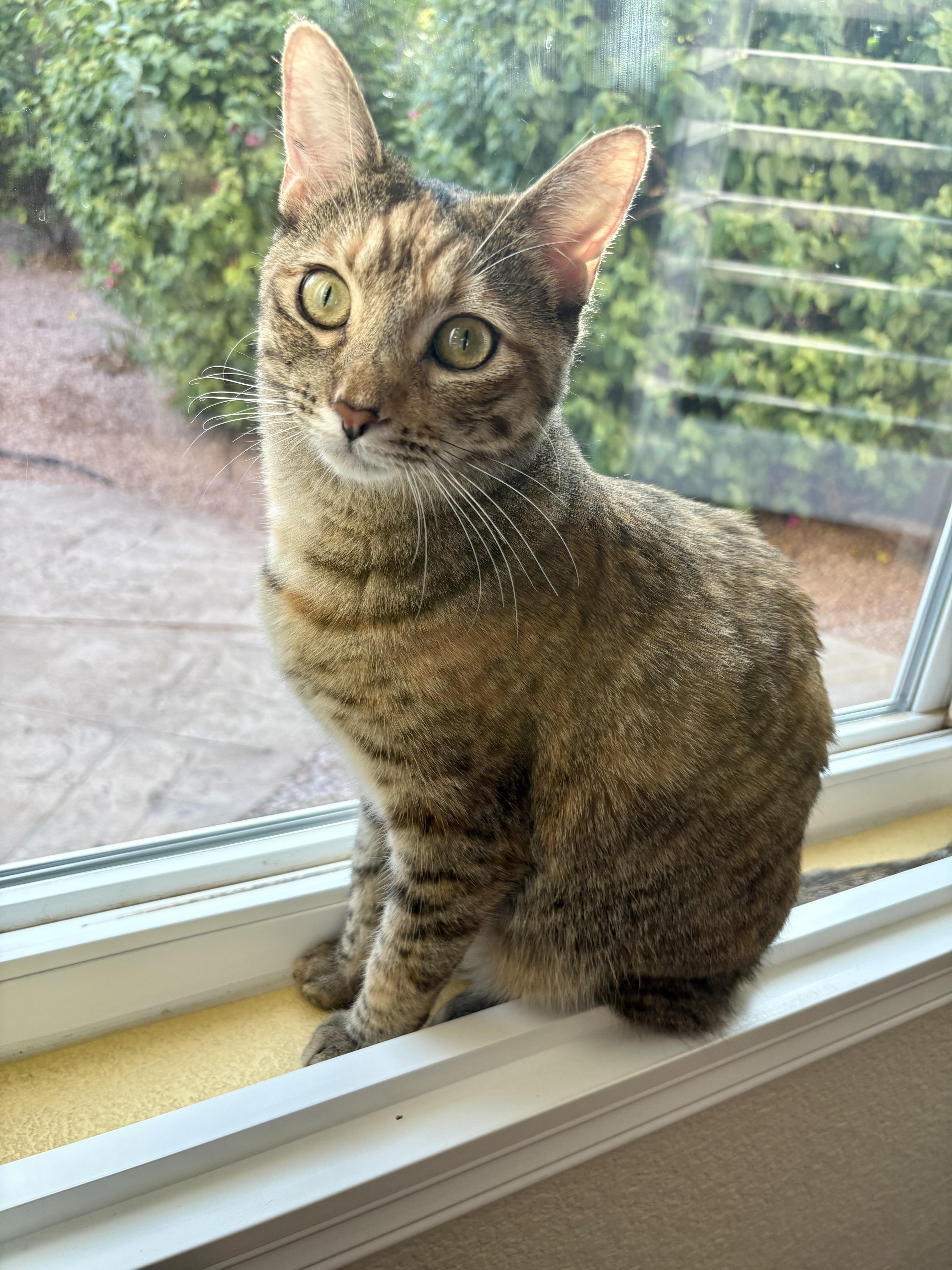 Minnie