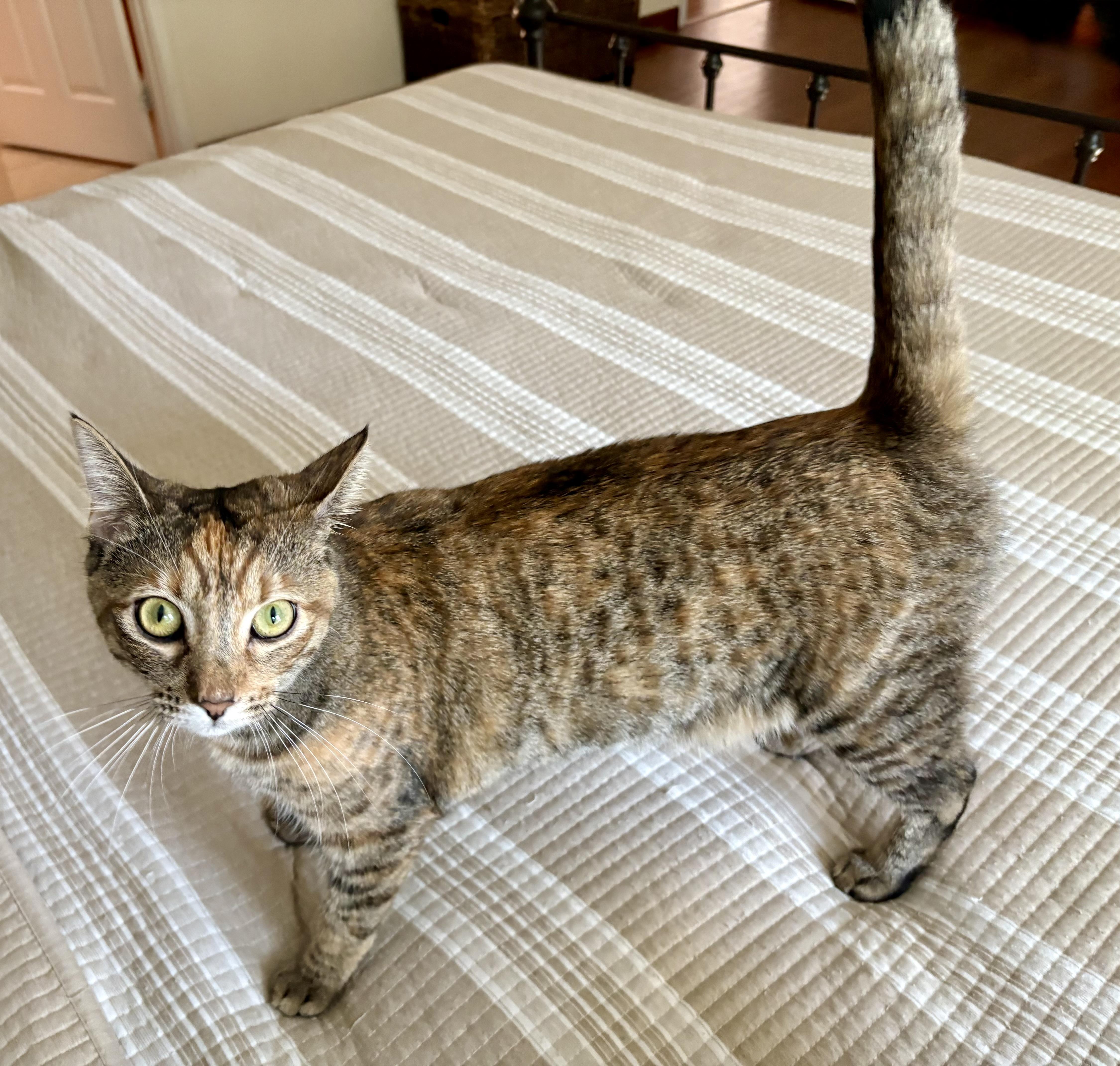 Minnie