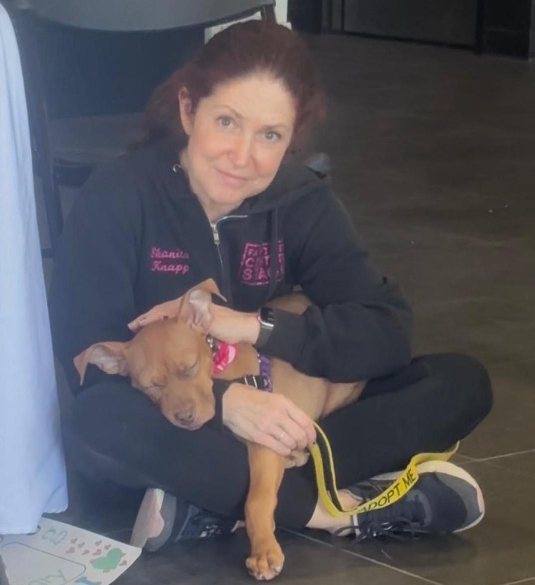 Enlarge Joey, a ADOPTABLE Pit Bull Terrier in Norwalk, CT image 6/6