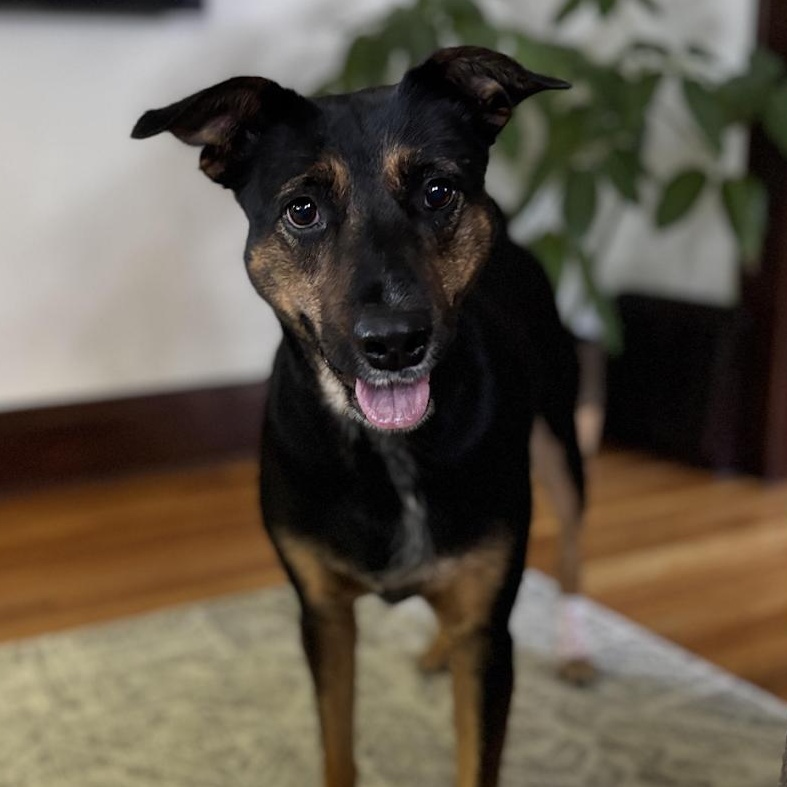 Millie