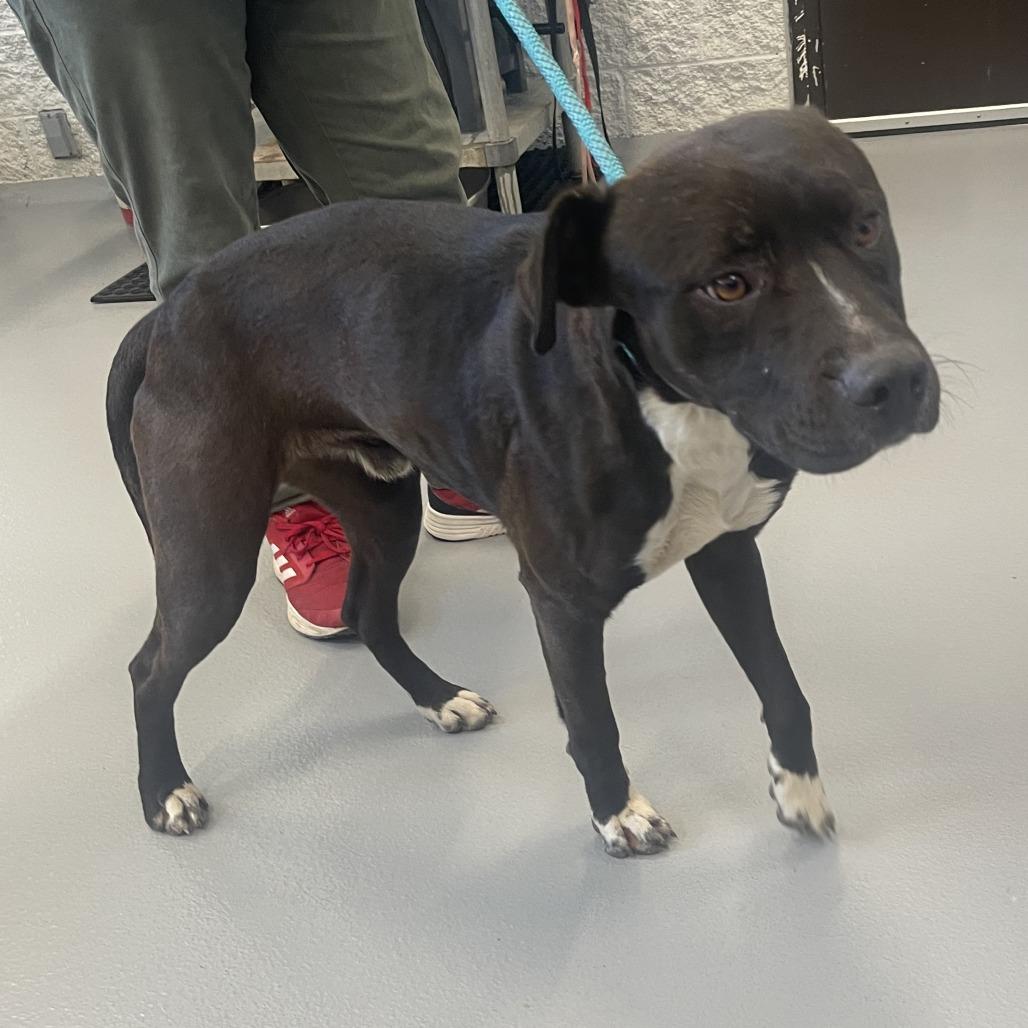 Kieran — thumbnail 2