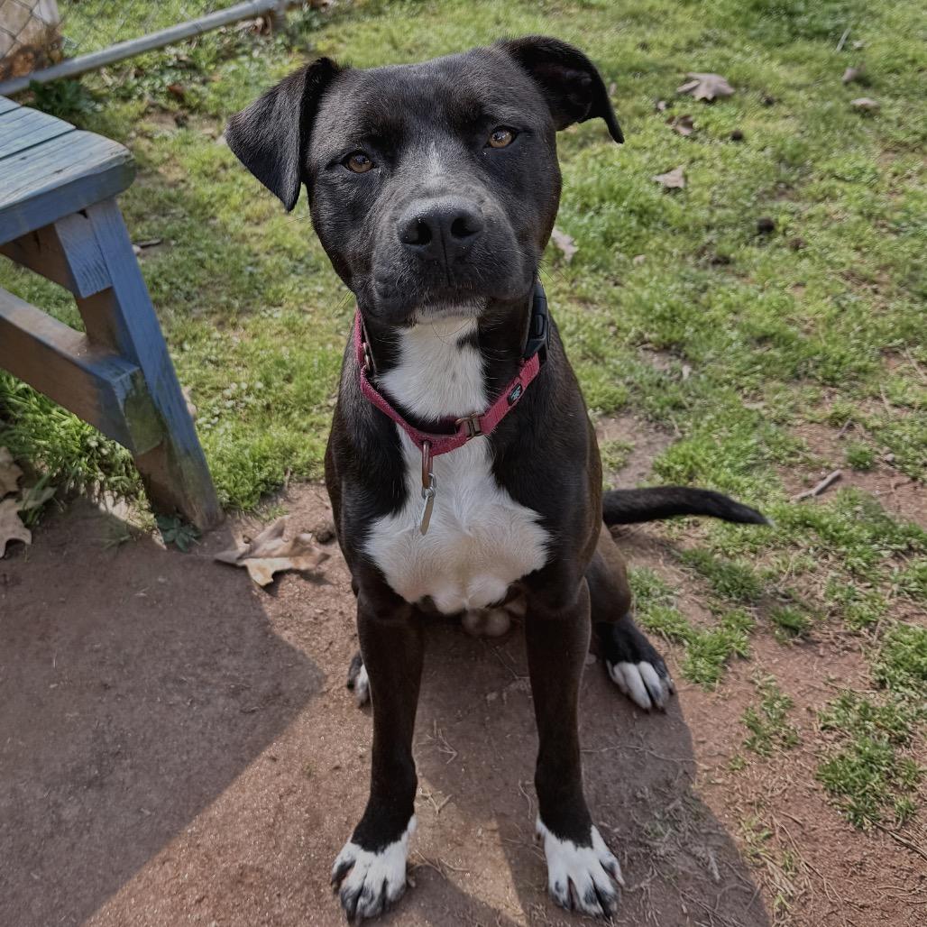 Kieran — thumbnail 3