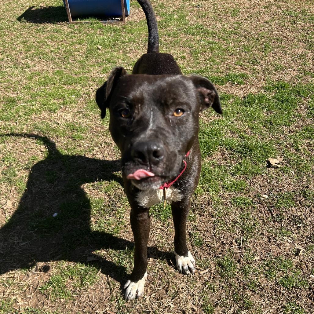 Kieran — thumbnail 4