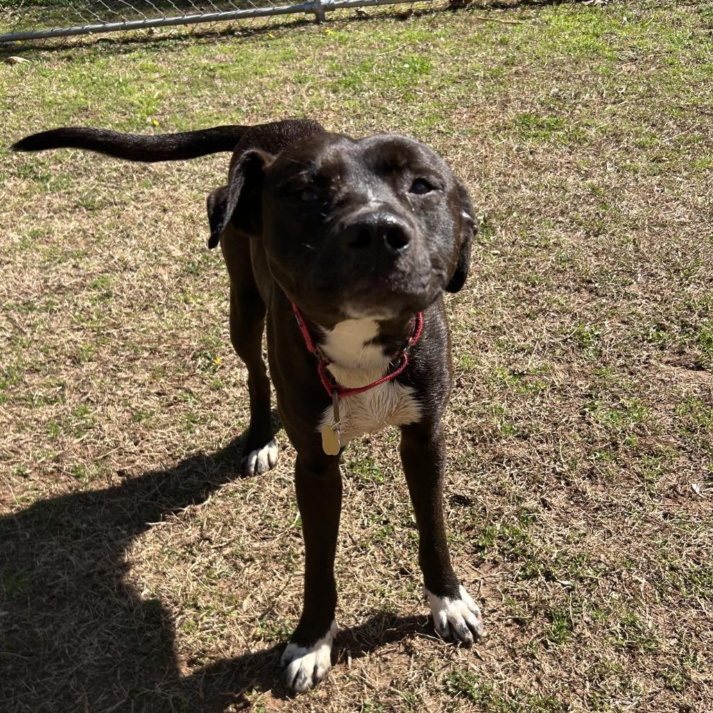 Kieran — thumbnail 5