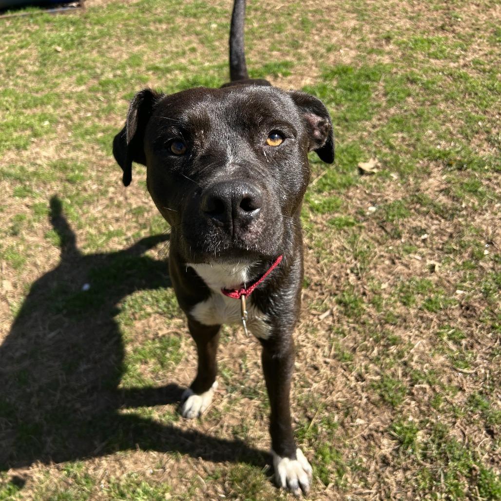 Kieran — thumbnail 6