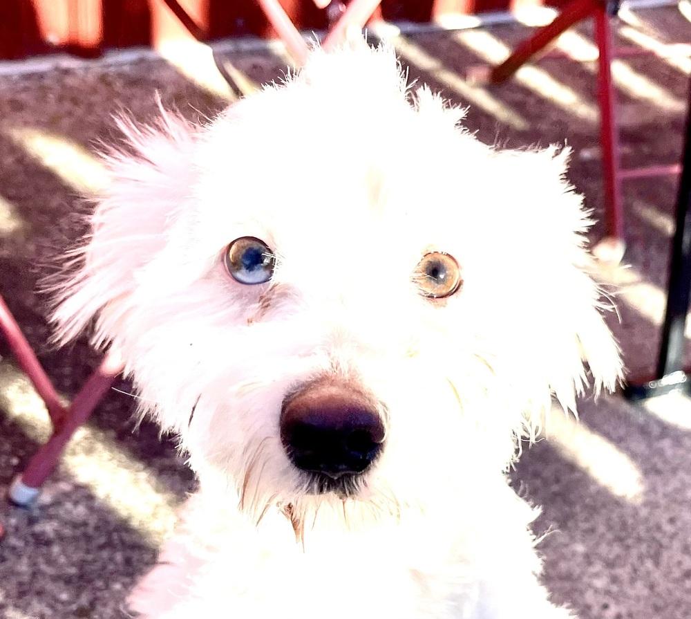 Giovanni — thumbnail 4